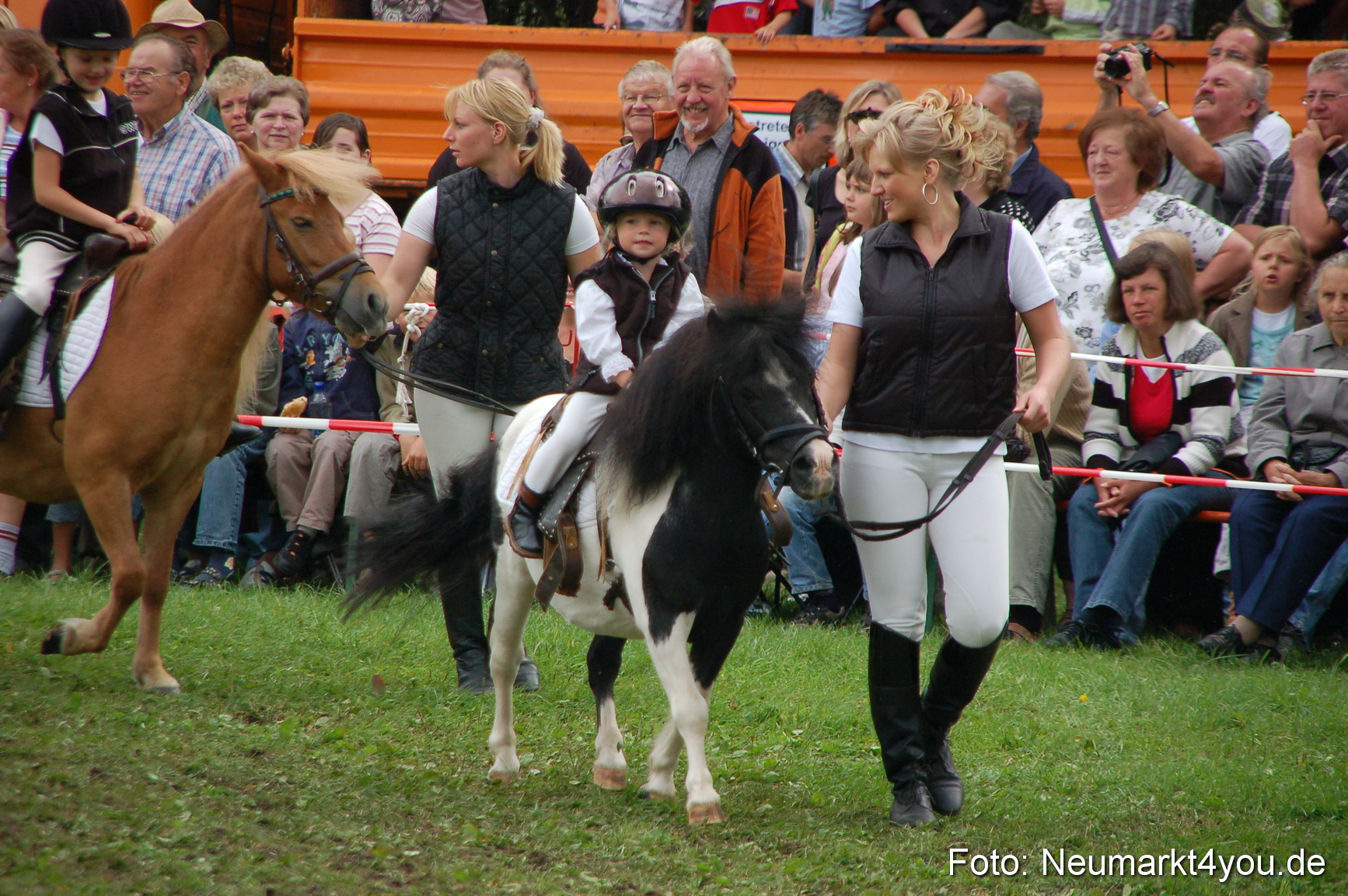 0514 Pferde Fohlenschau 200807
