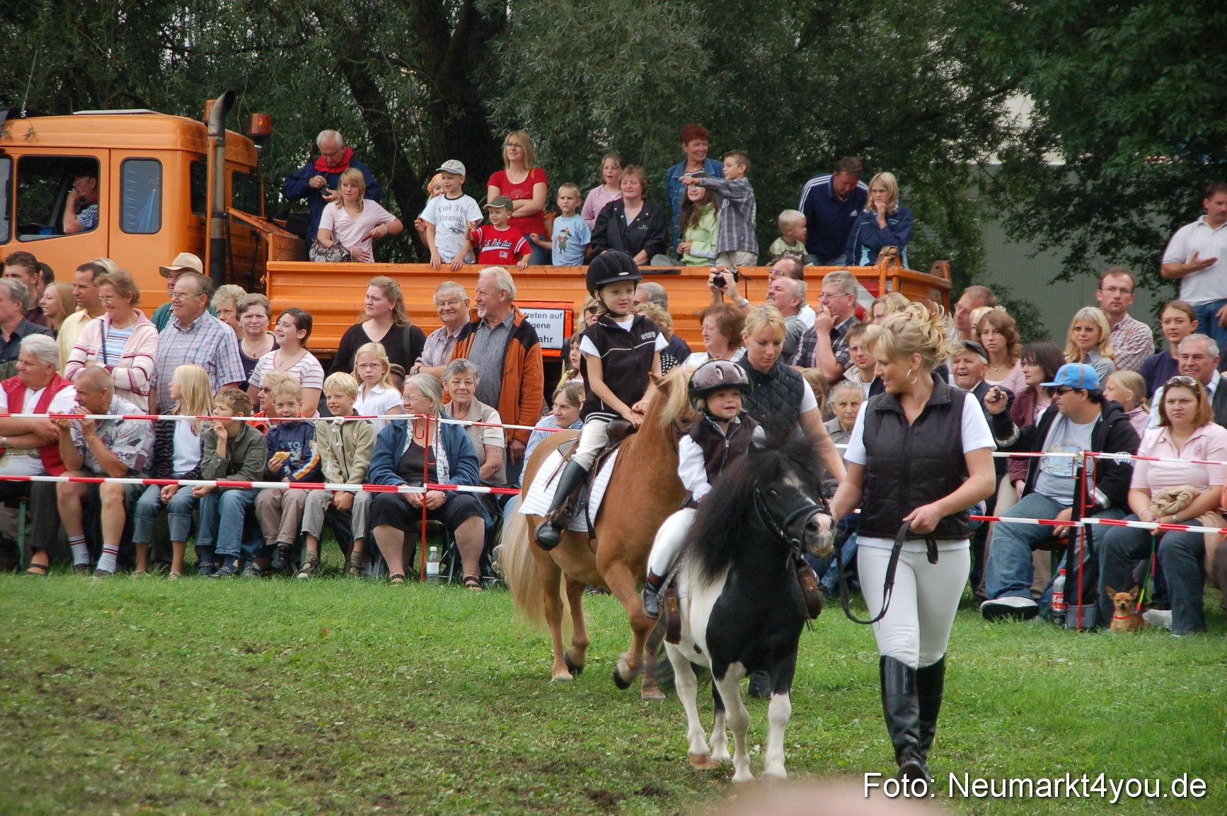 0515 Pferde Fohlenschau 200807