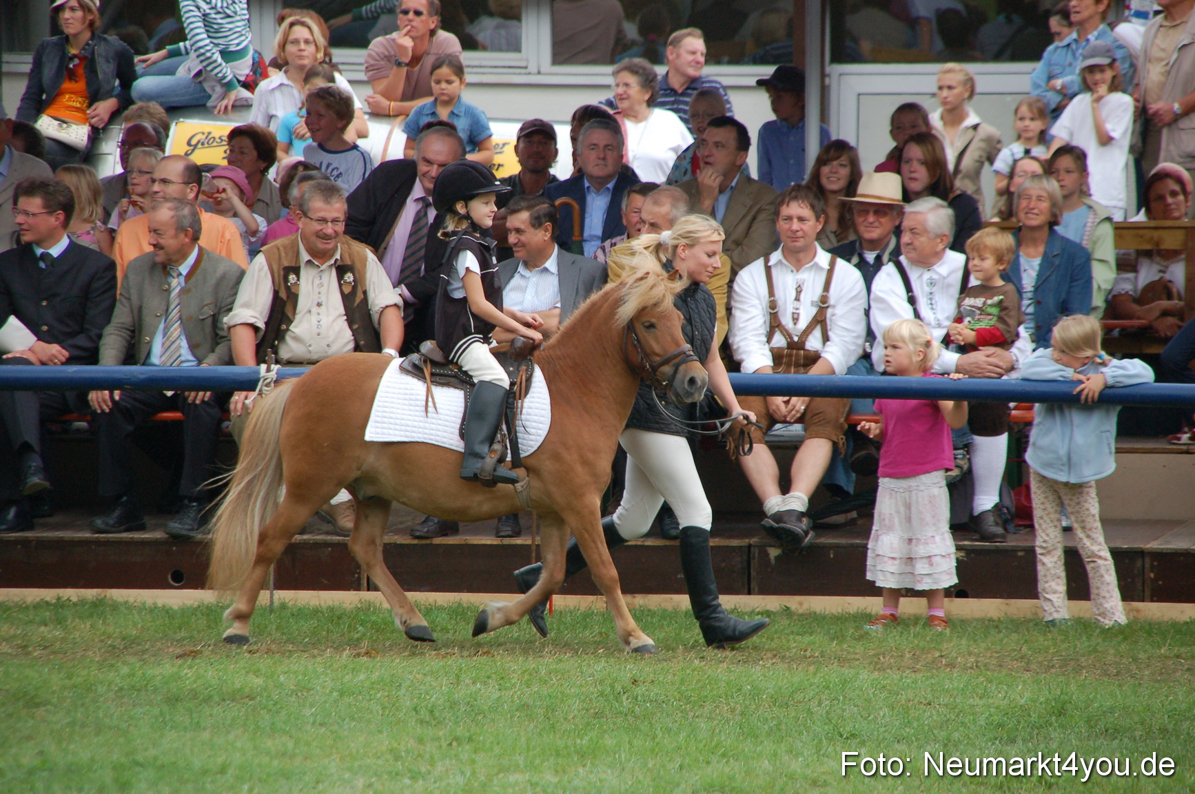 0517 Pferde Fohlenschau 200807