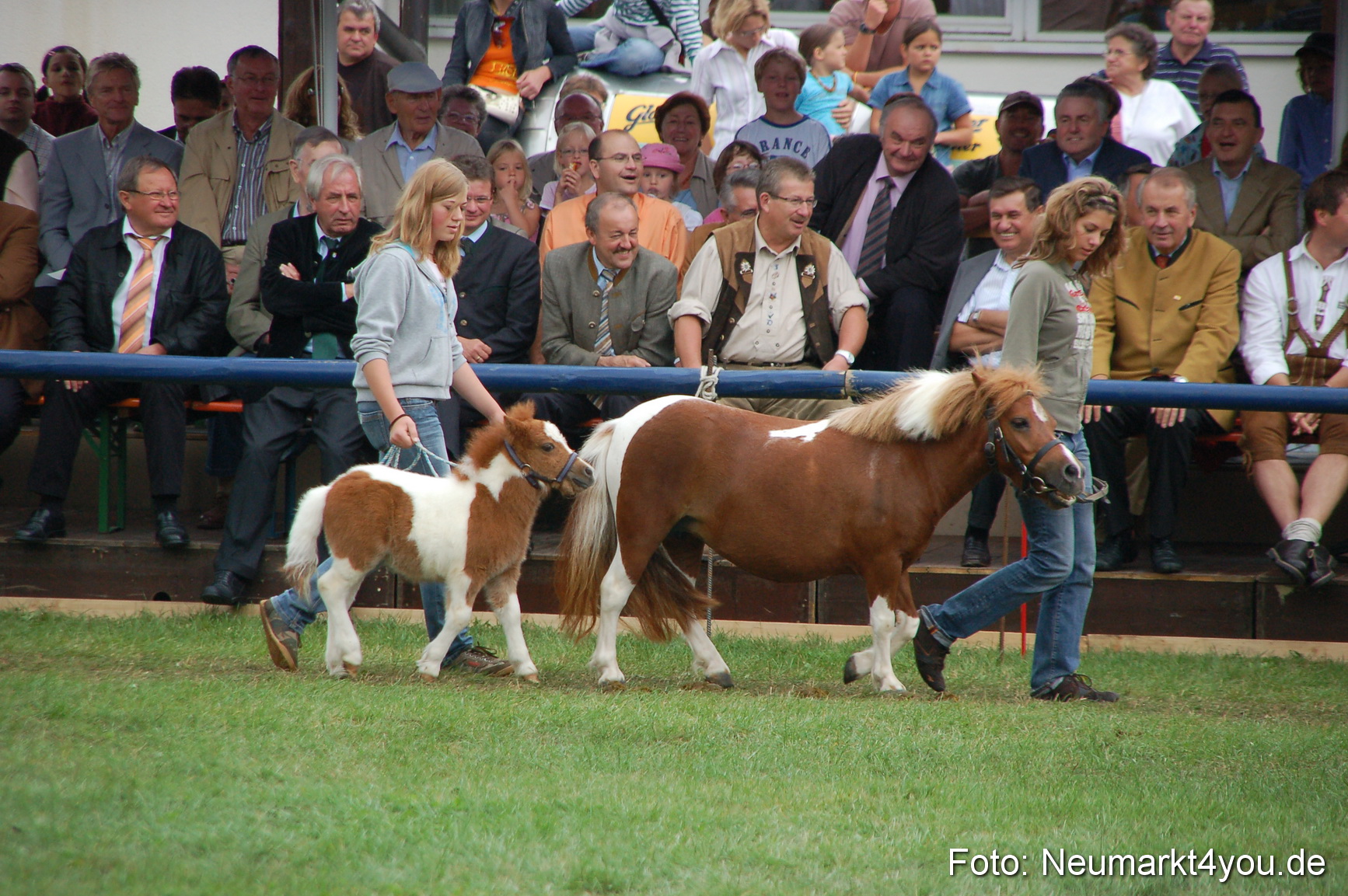 0519 Pferde Fohlenschau 200807