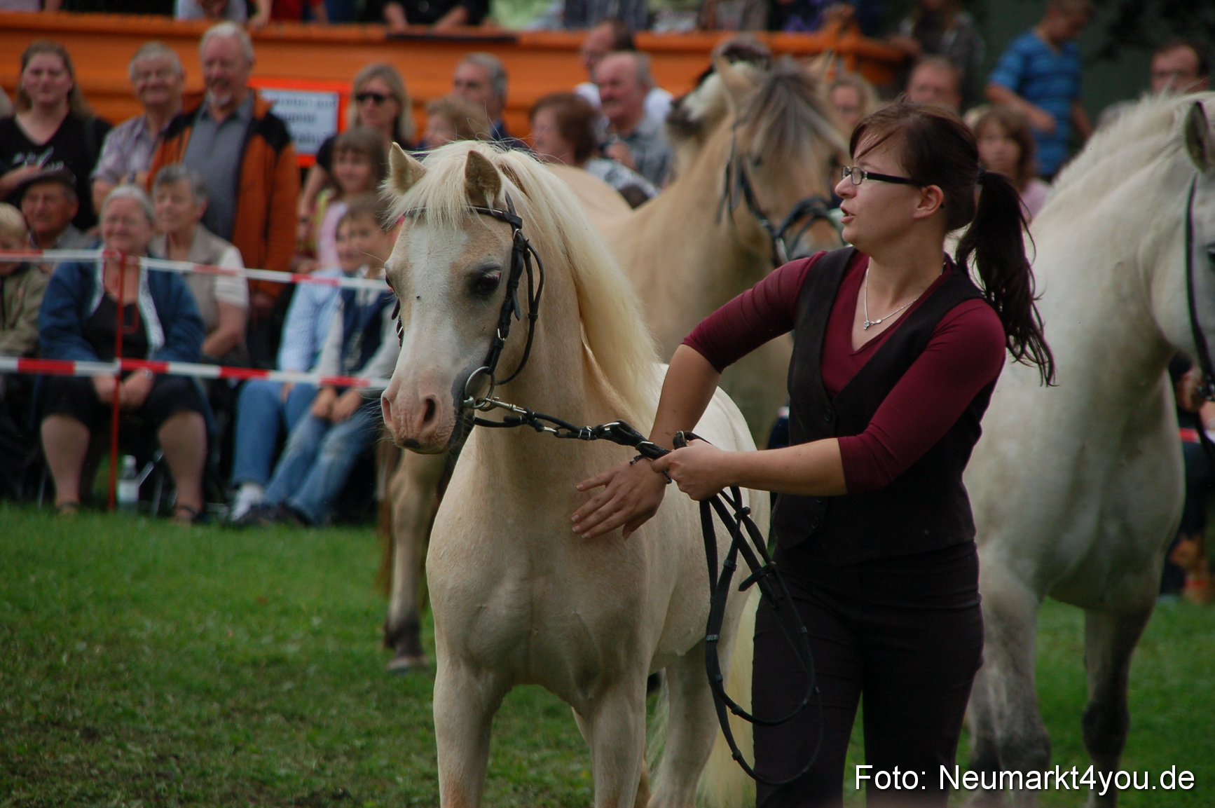 0520 Pferde Fohlenschau 200807