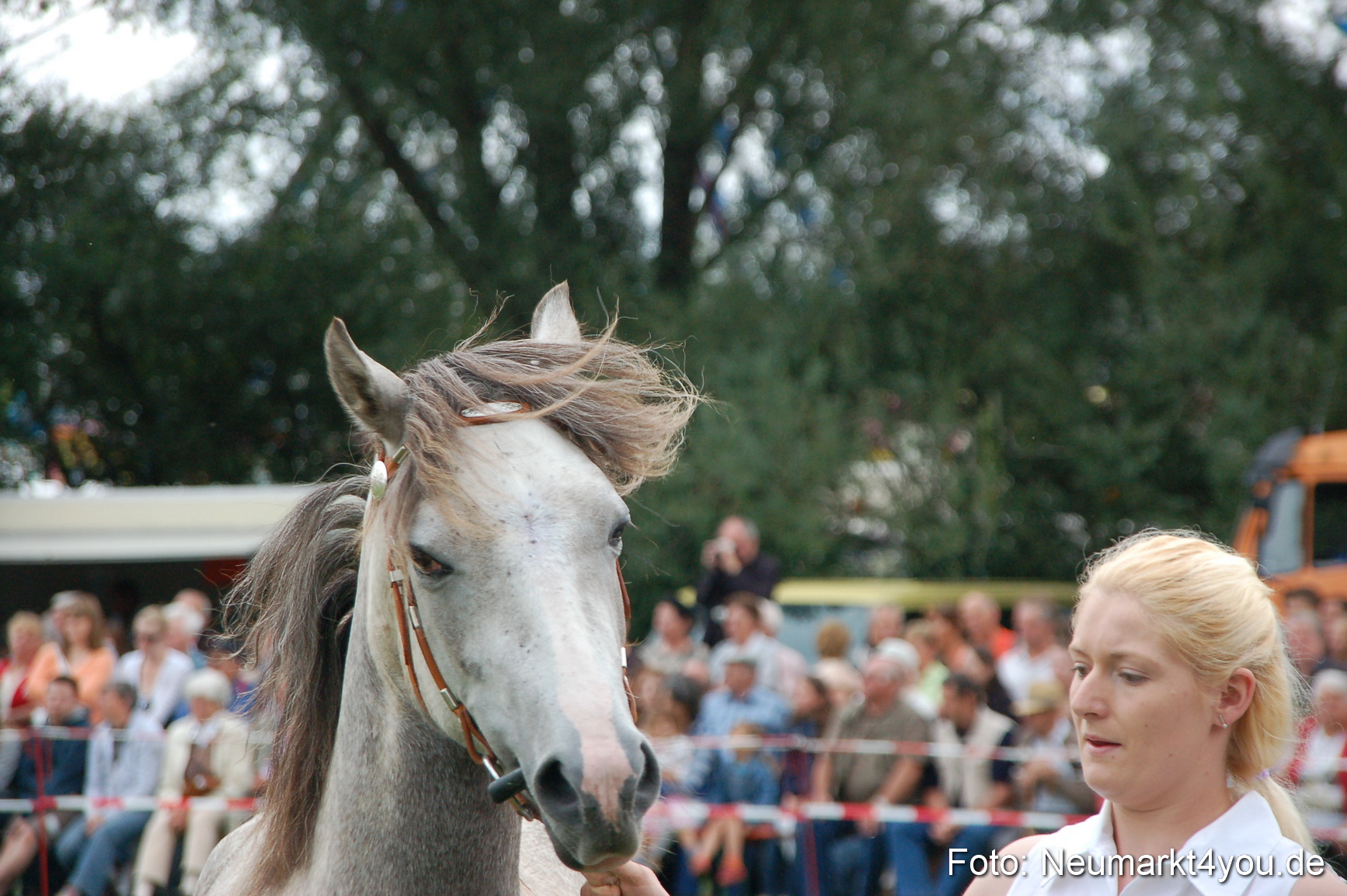 0521 Pferde Fohlenschau 200807