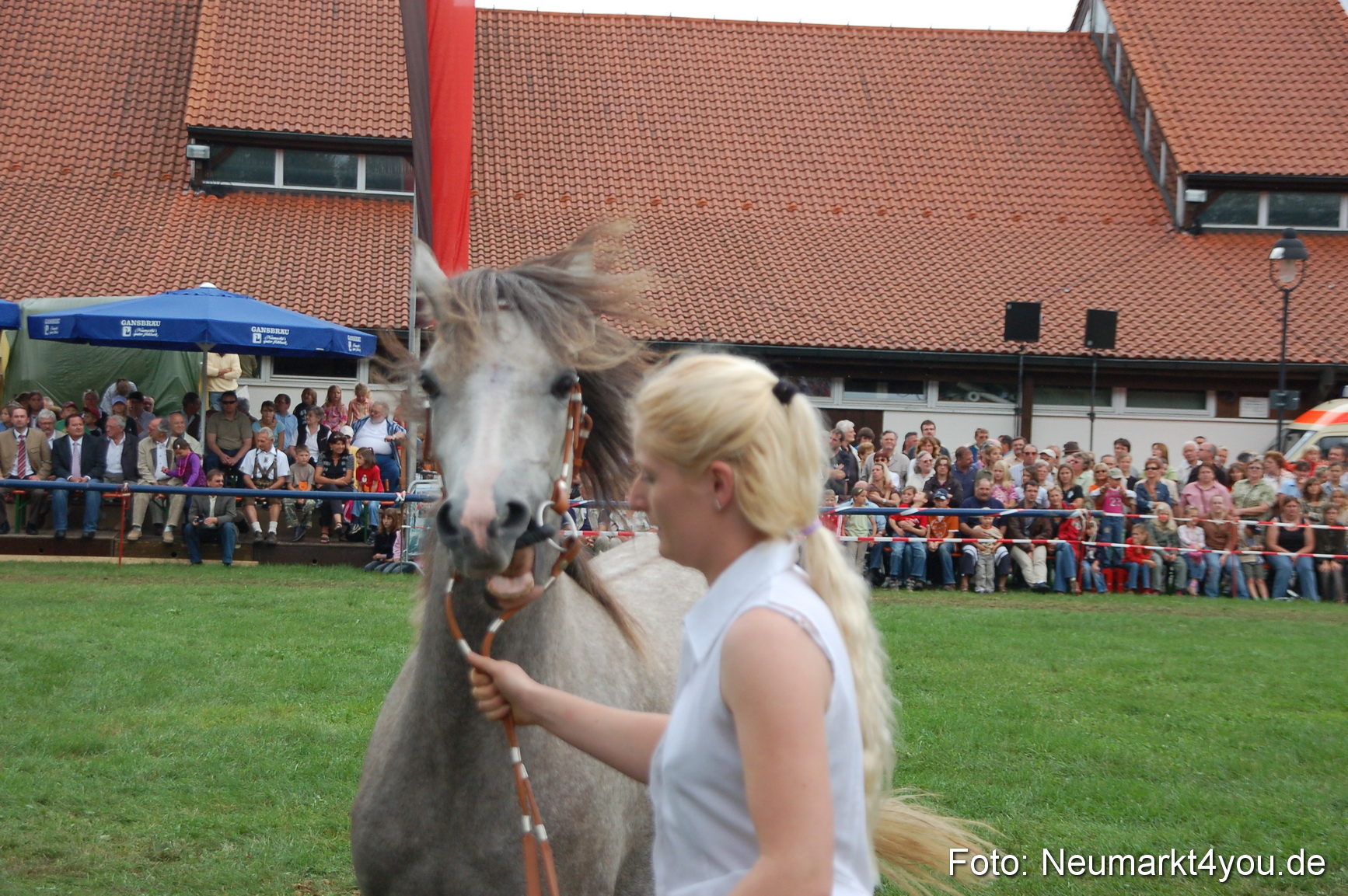0522 Pferde Fohlenschau 200807