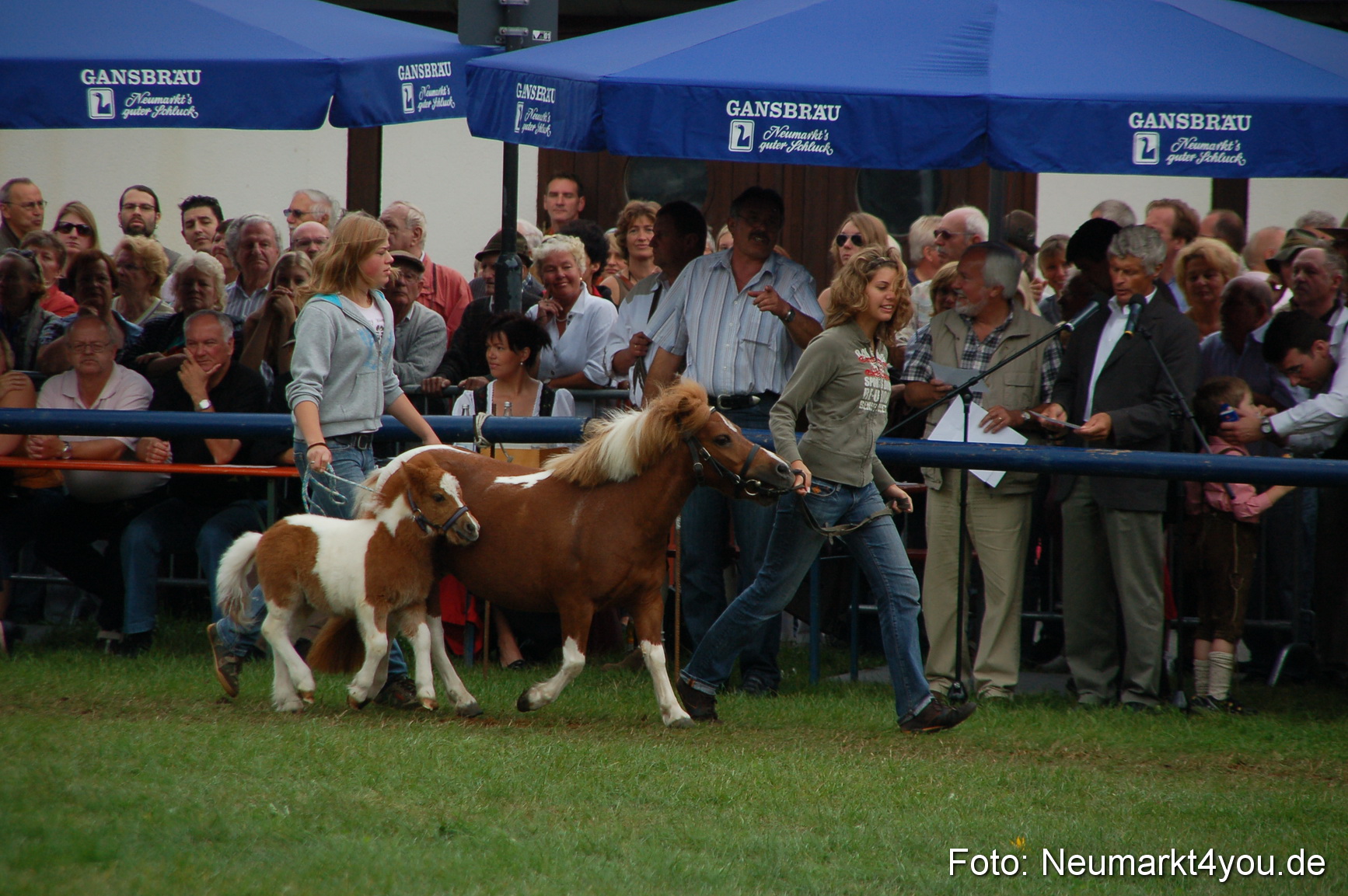 0525 Pferde Fohlenschau 200807