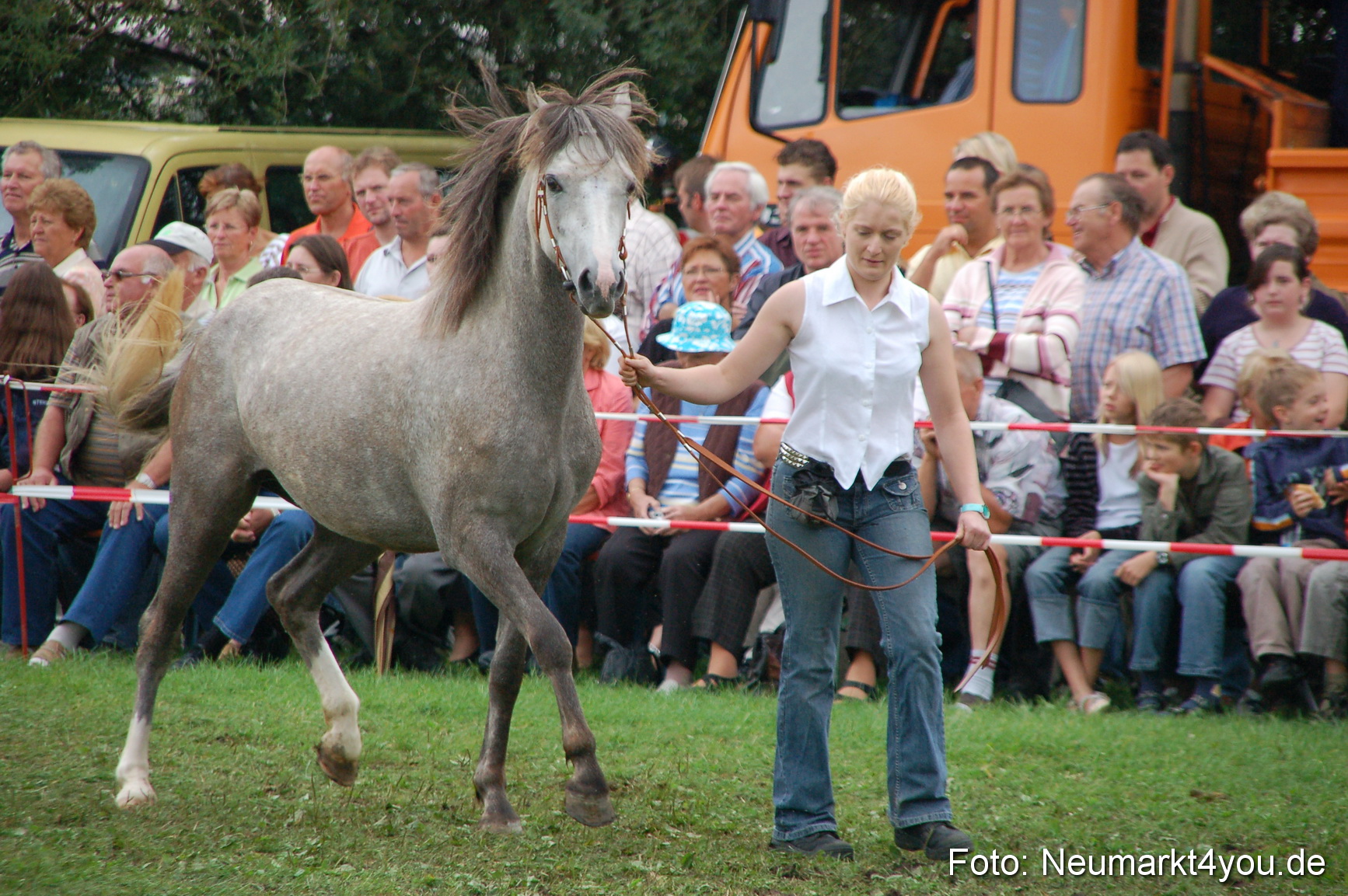 0526 Pferde Fohlenschau 200807
