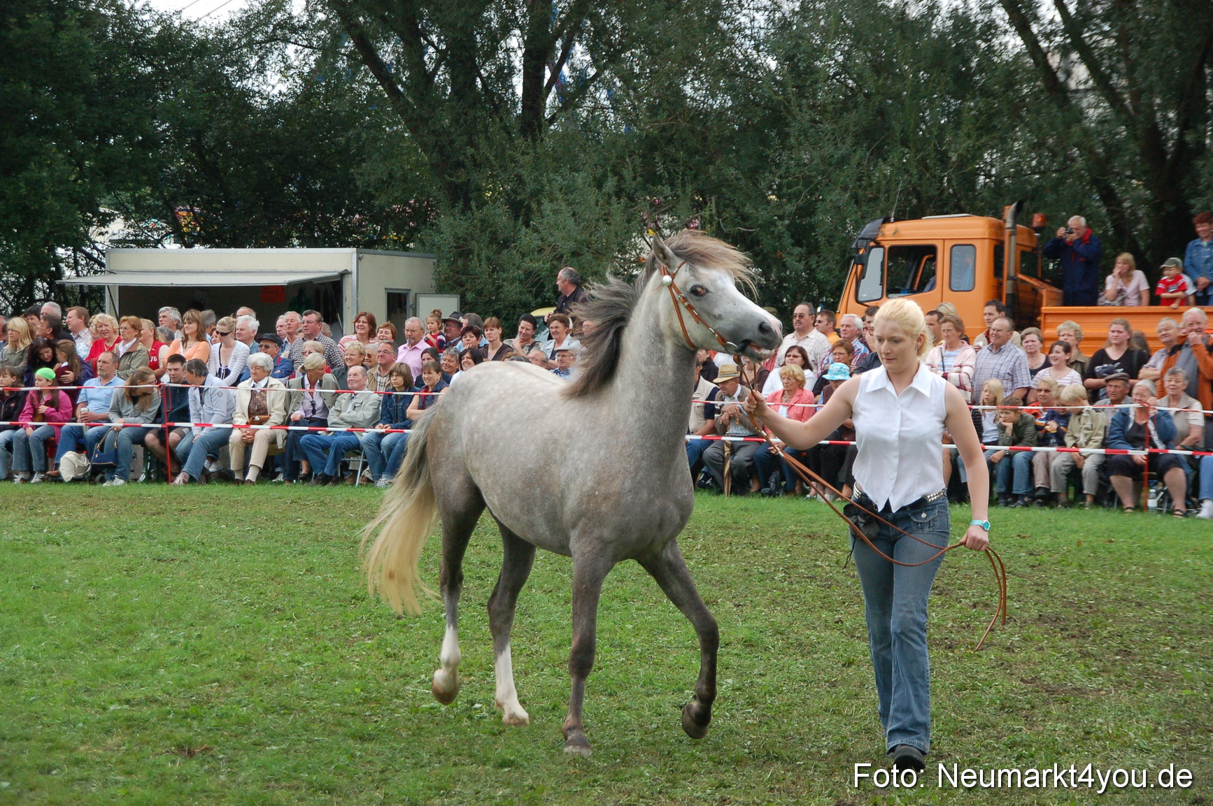0527 Pferde Fohlenschau 200807