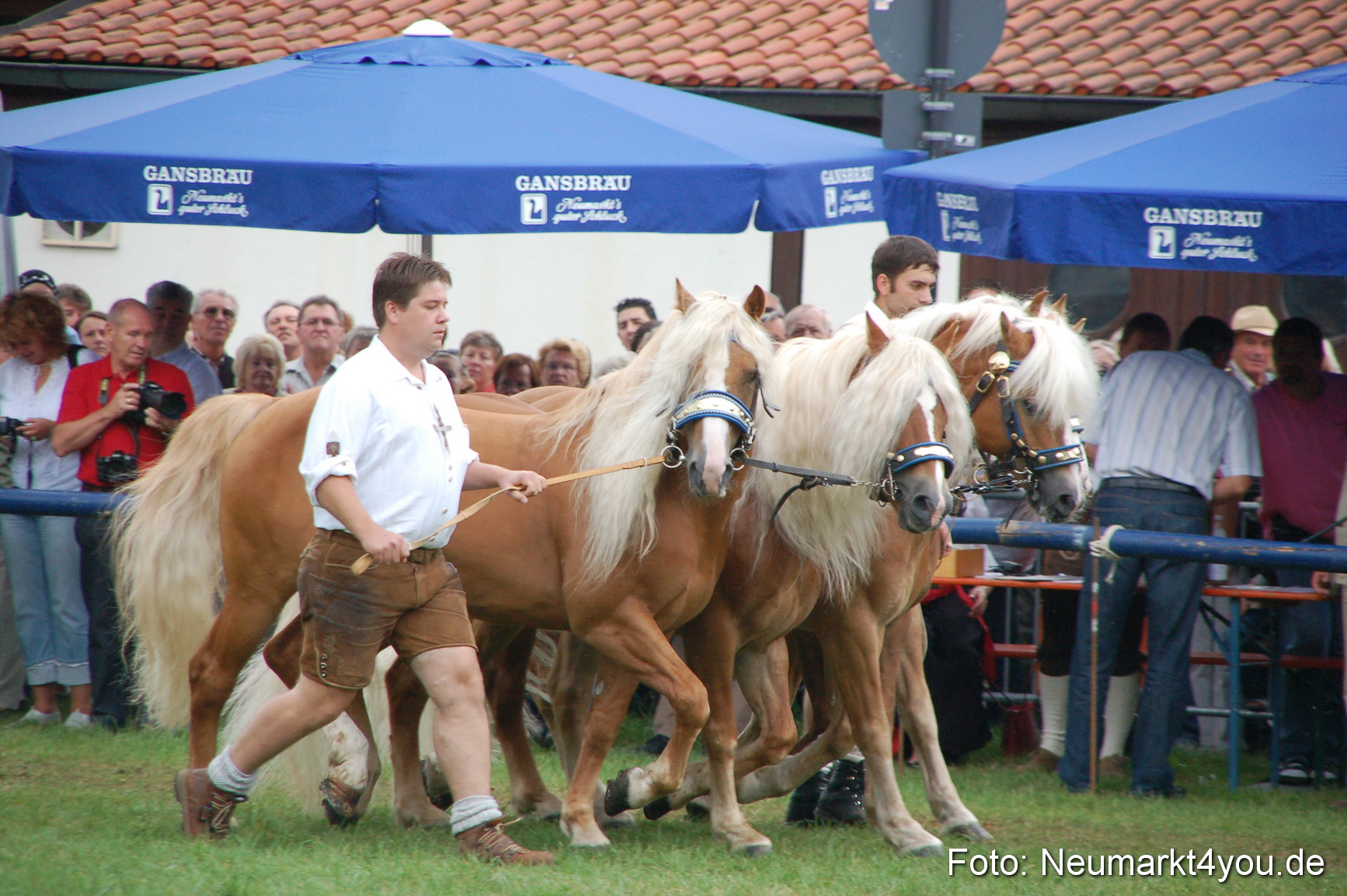 0529 Pferde Fohlenschau 200807