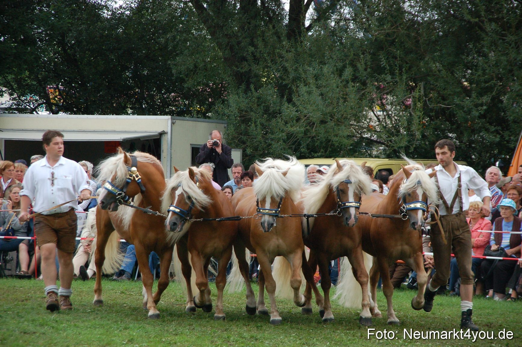 0532 Pferde Fohlenschau 200807