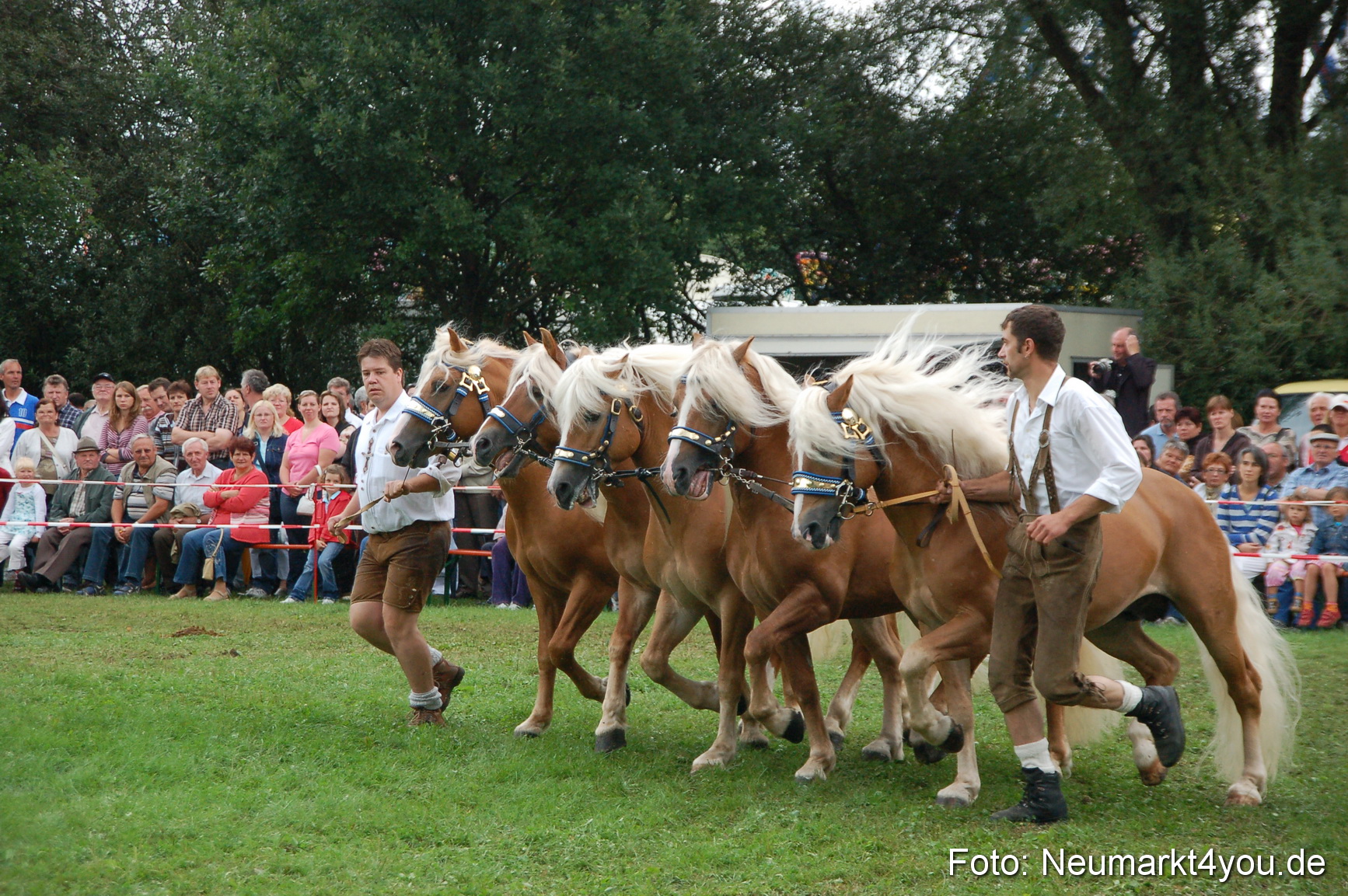 0534 Pferde Fohlenschau 200807