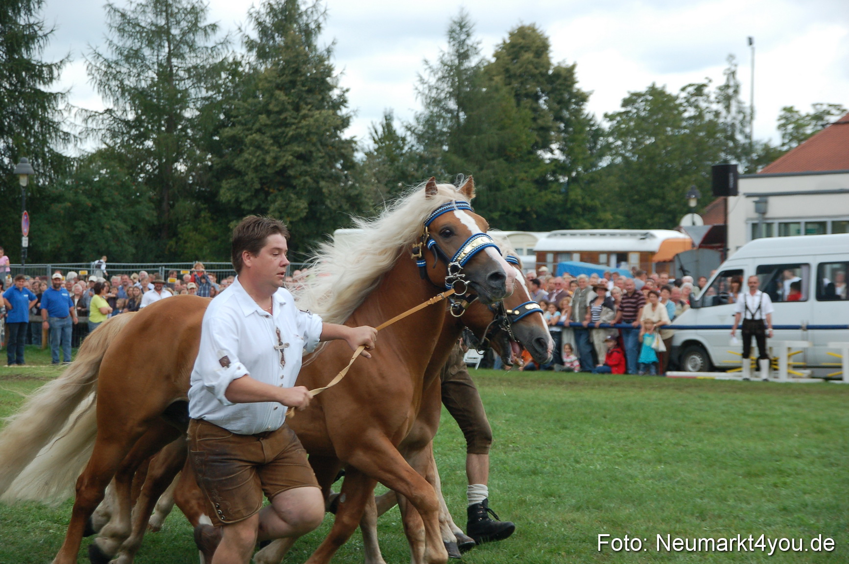 0538 Pferde Fohlenschau 200807