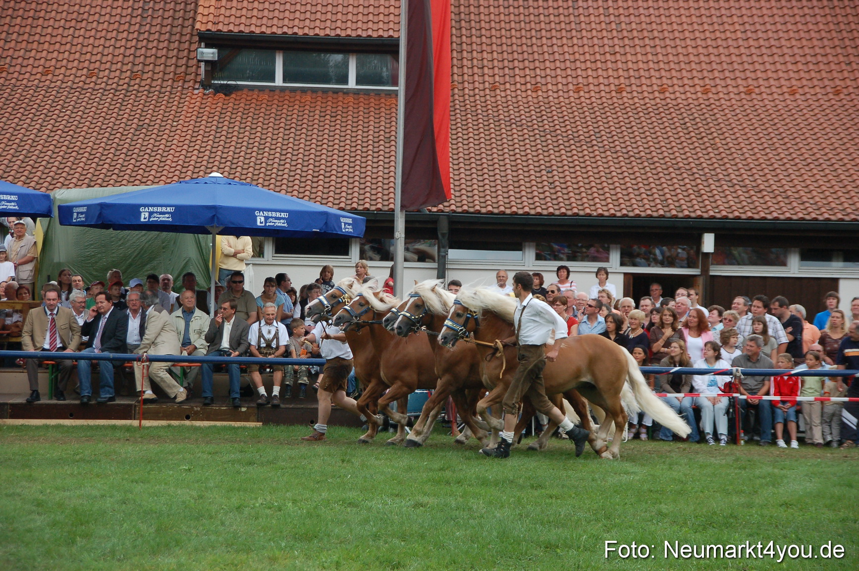 0539 Pferde Fohlenschau 200807