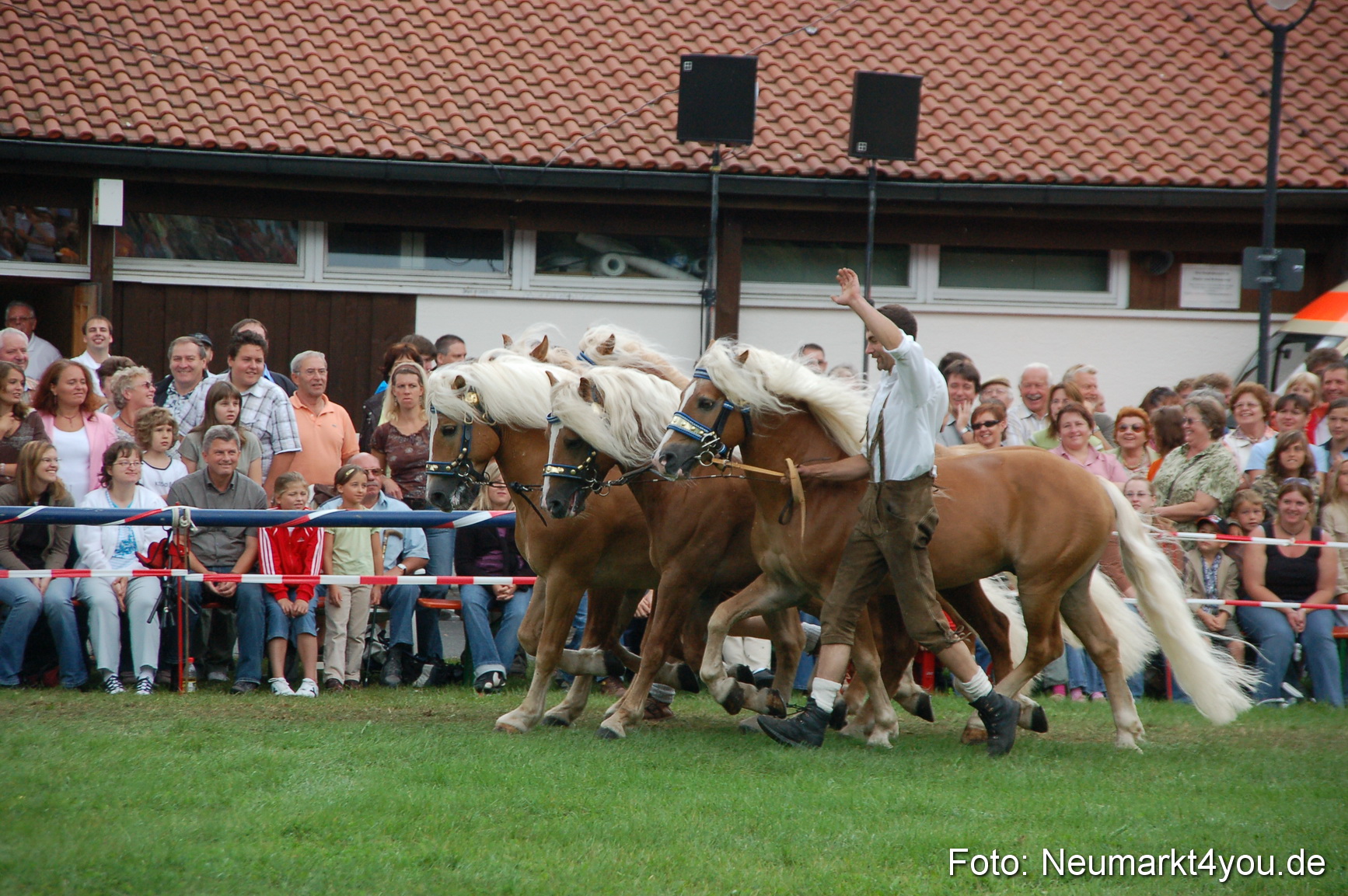 0544 Pferde Fohlenschau 200807