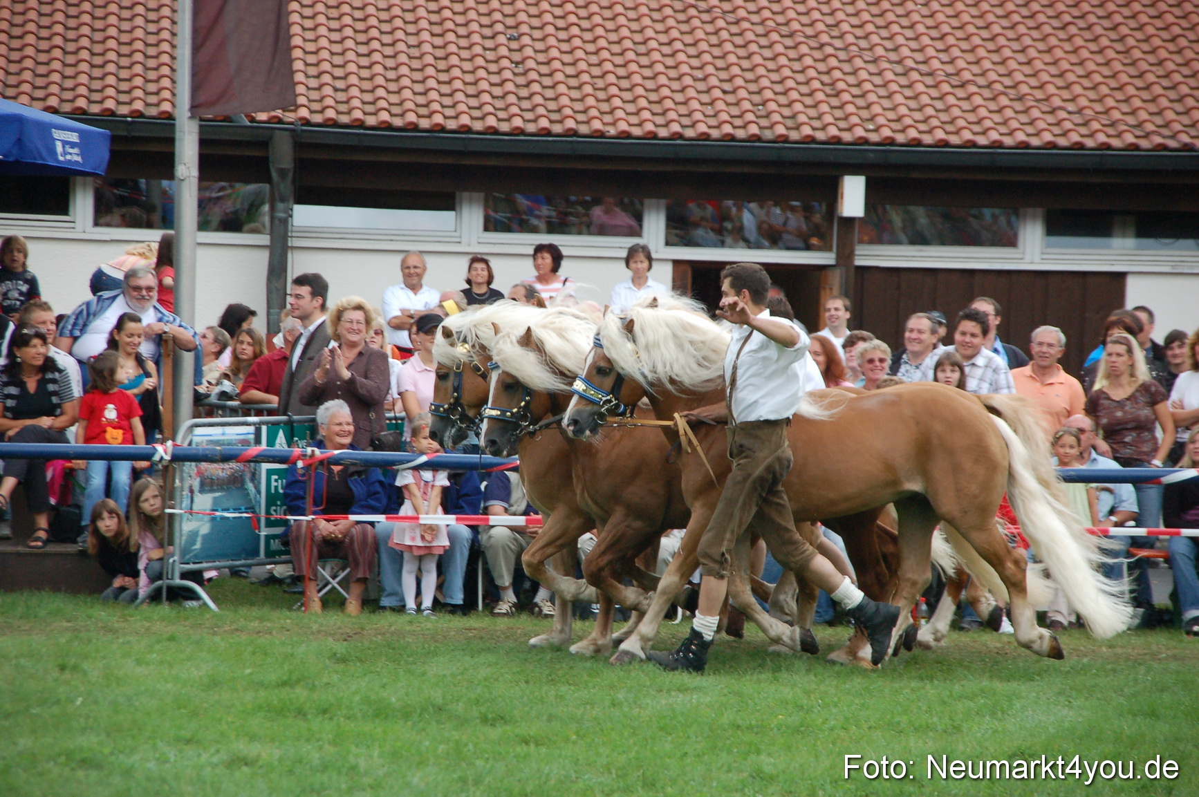0545 Pferde Fohlenschau 200807