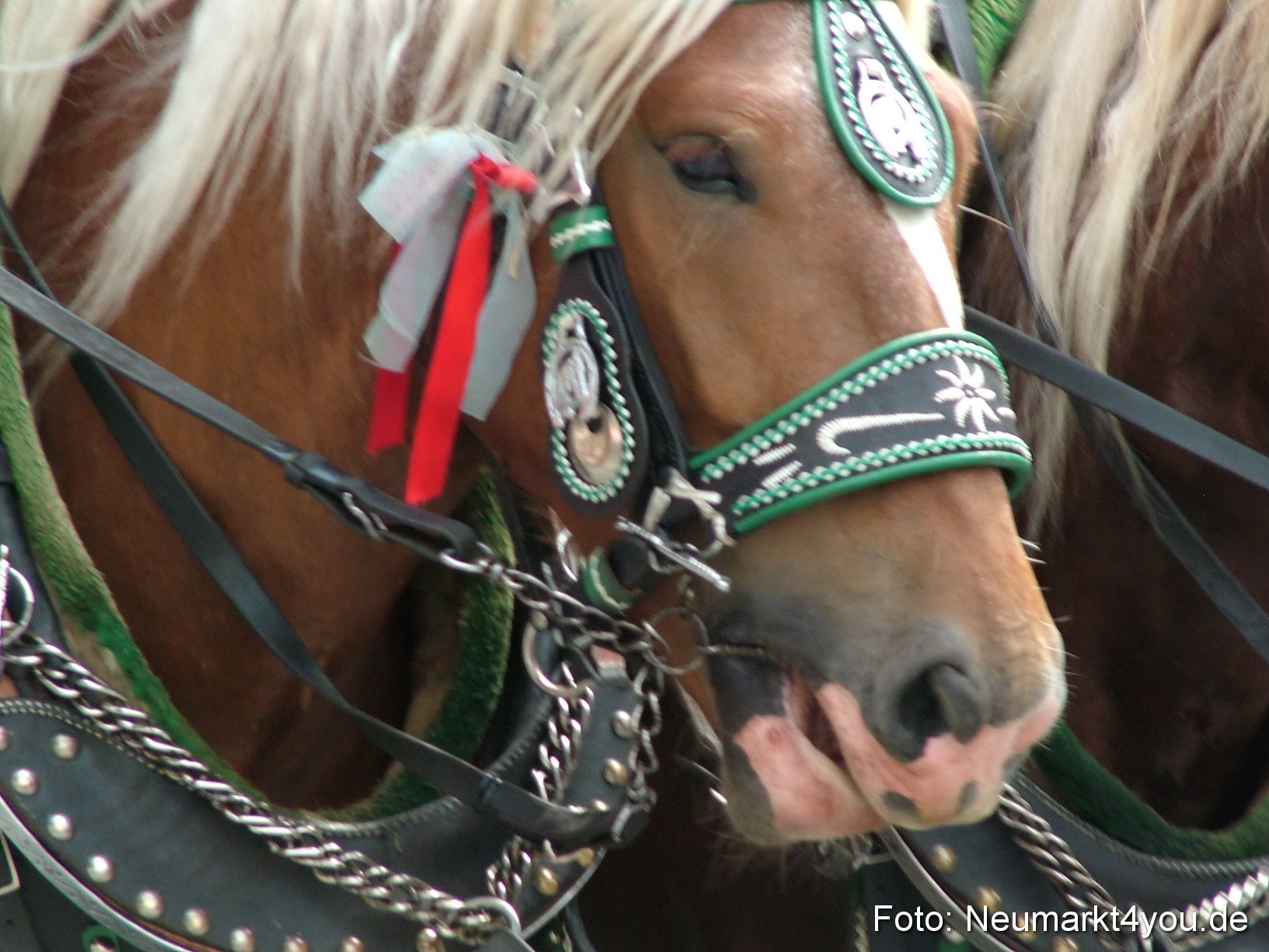 0076 Volksfestzug 120807