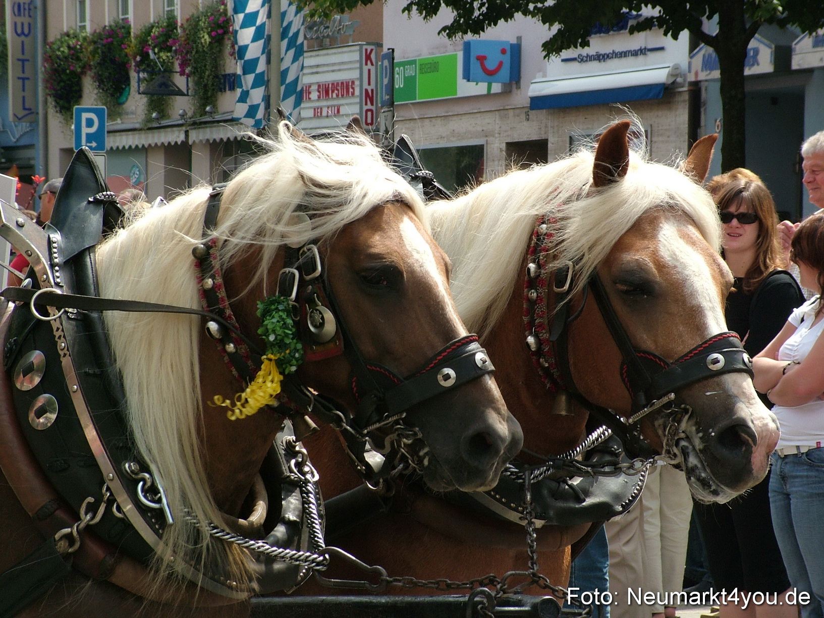 0080 Volksfestzug 120807