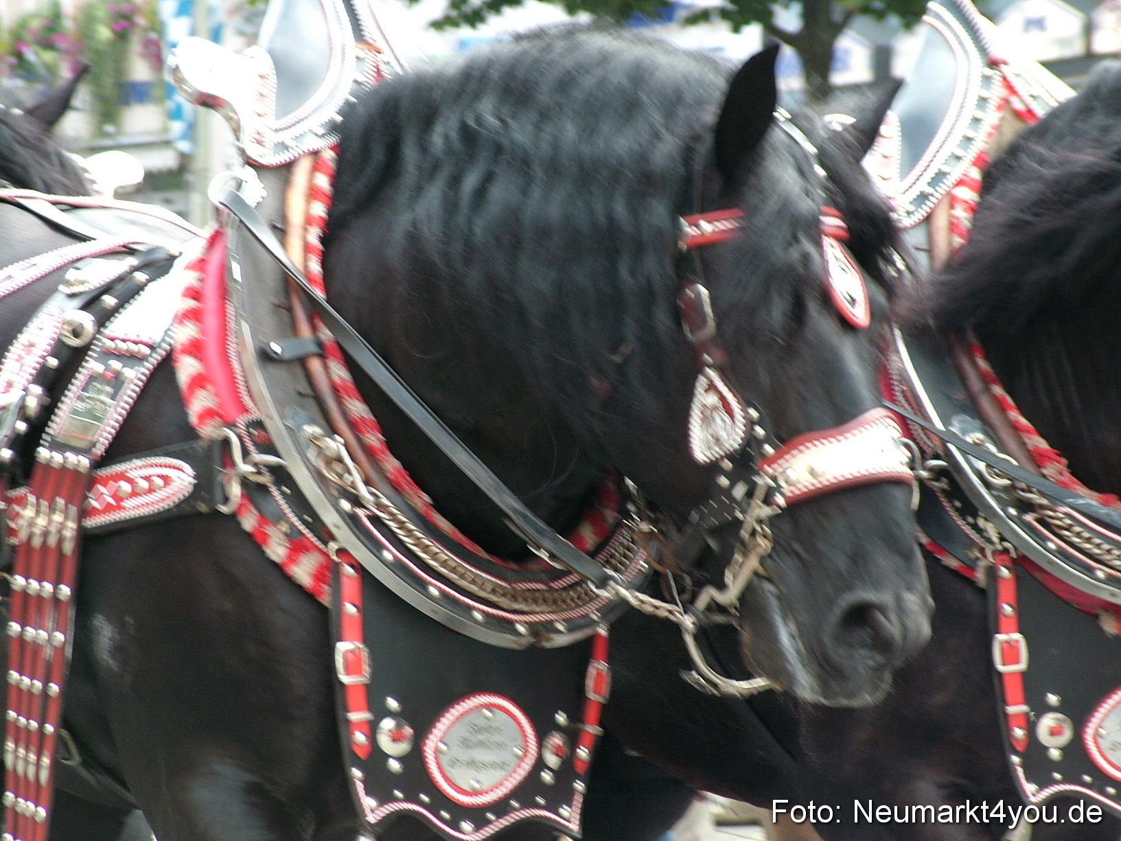 0101 Volksfestzug 120807