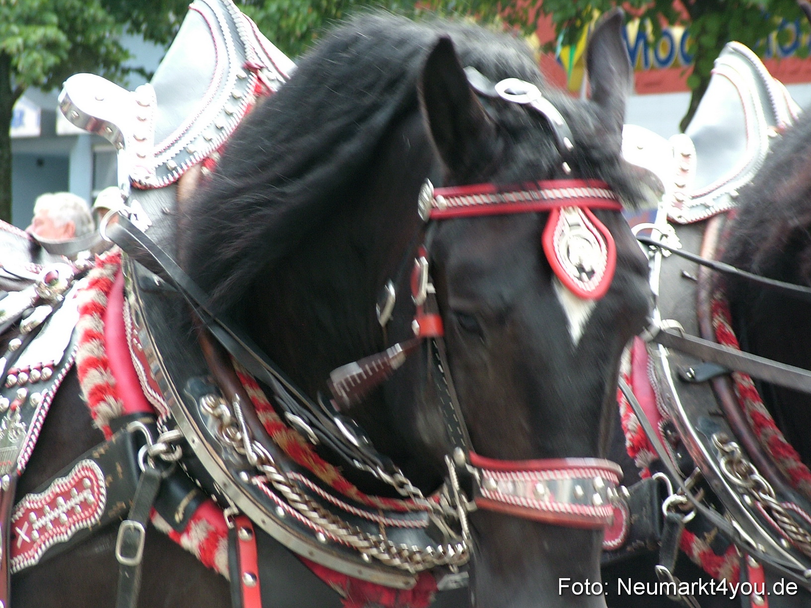 0102 Volksfestzug 120807