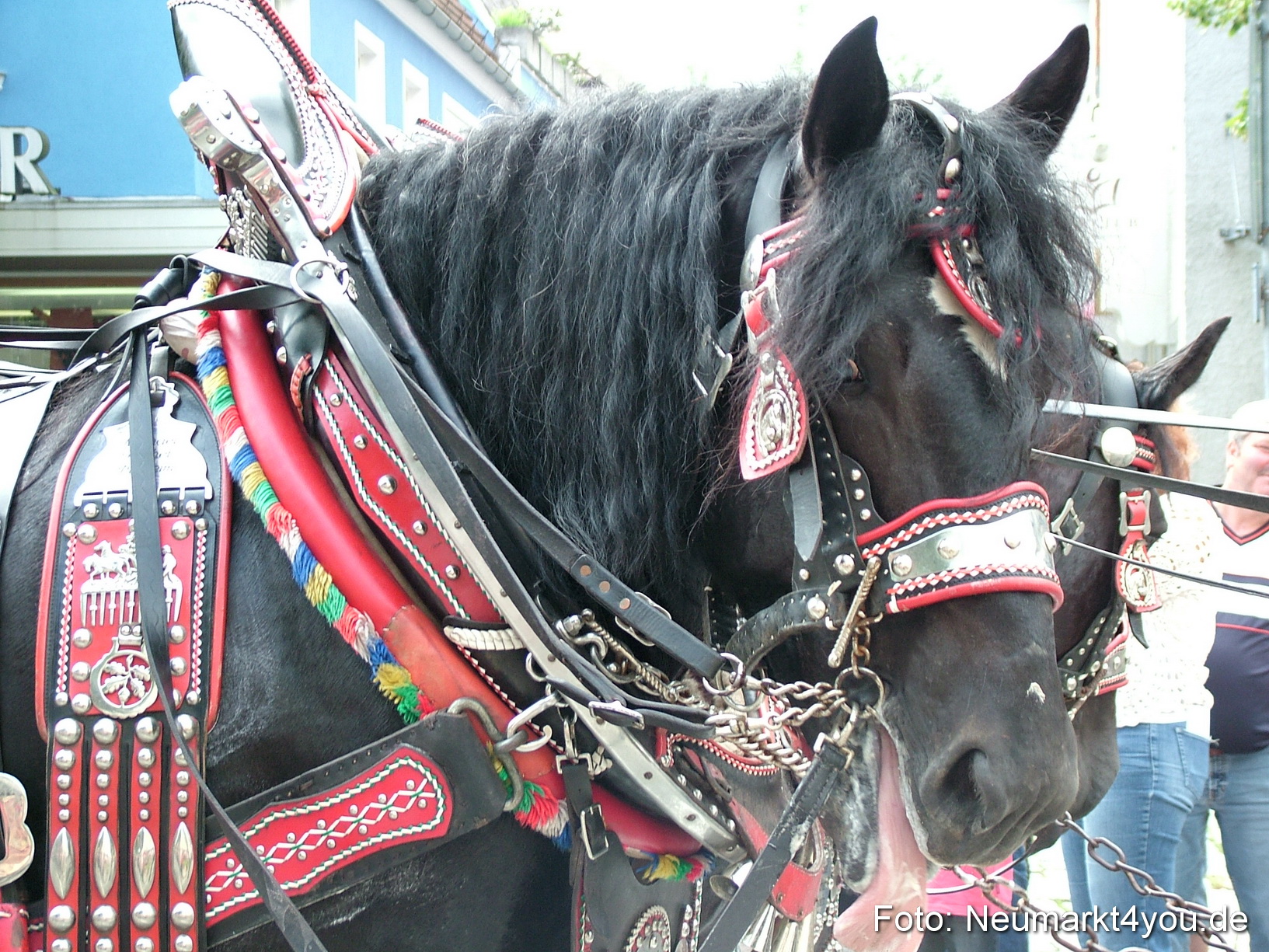 0106 Volksfestzug 120807