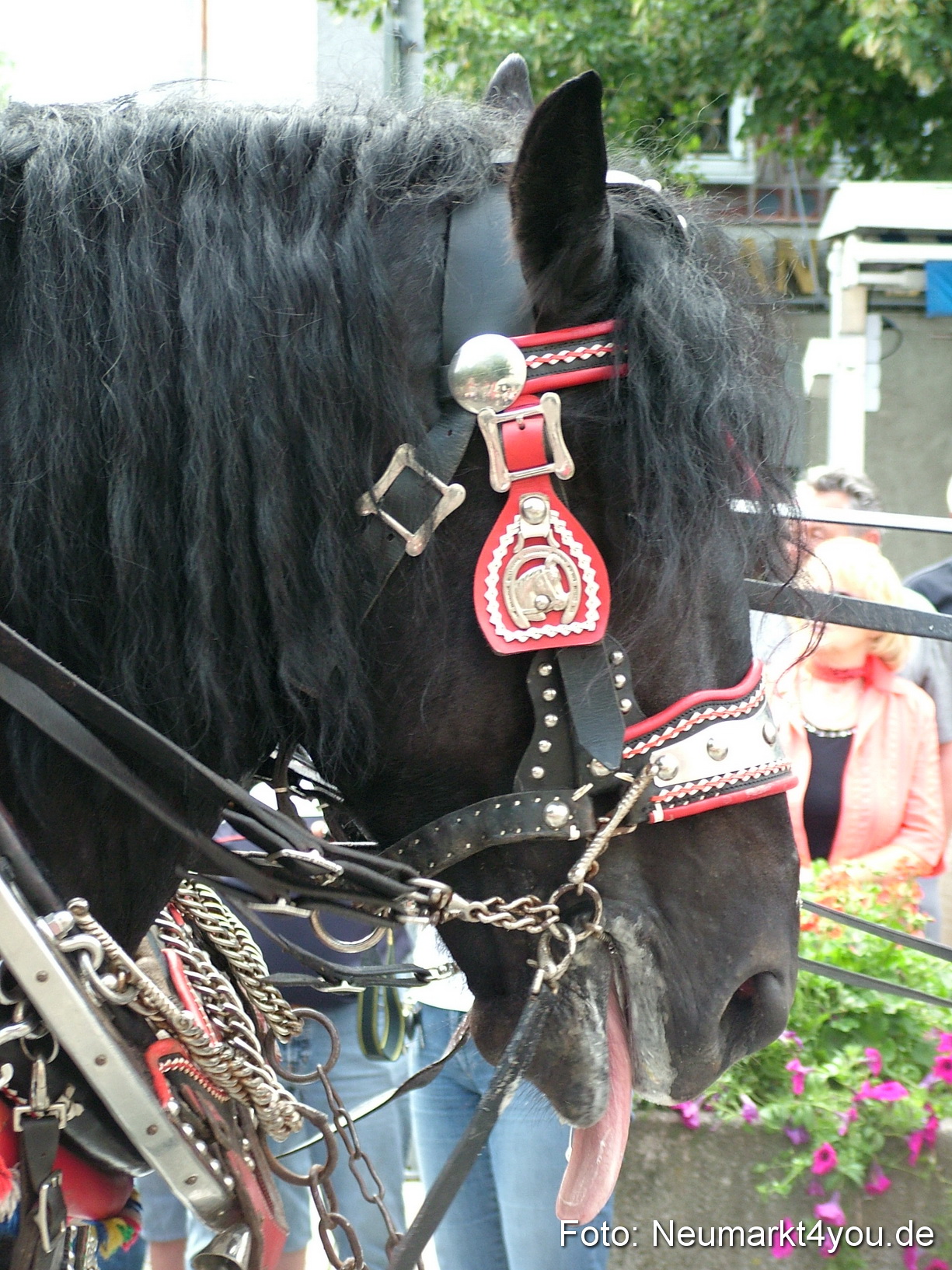 0110 Volksfestzug 120807