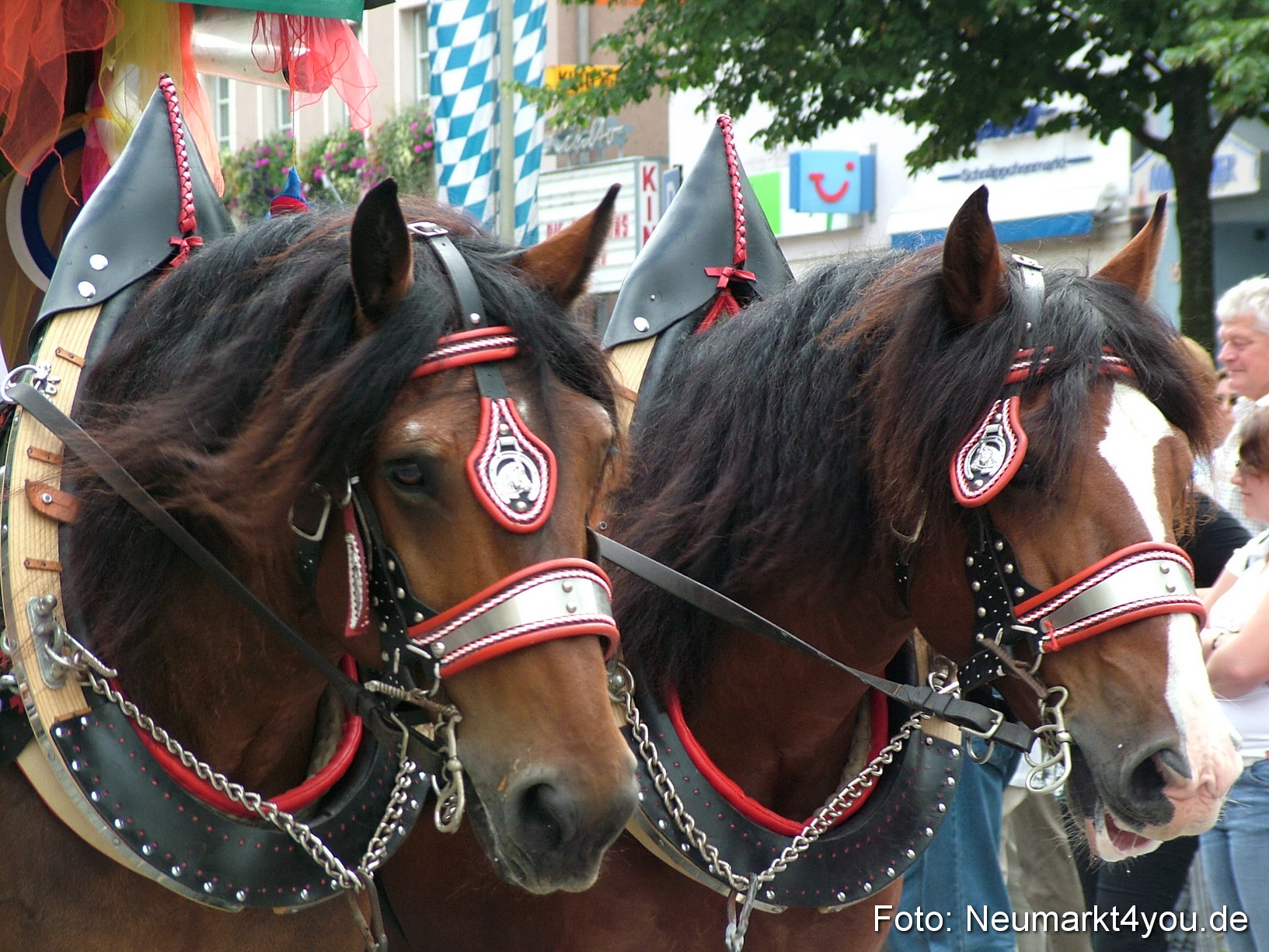 0142 Volksfestzug 120807