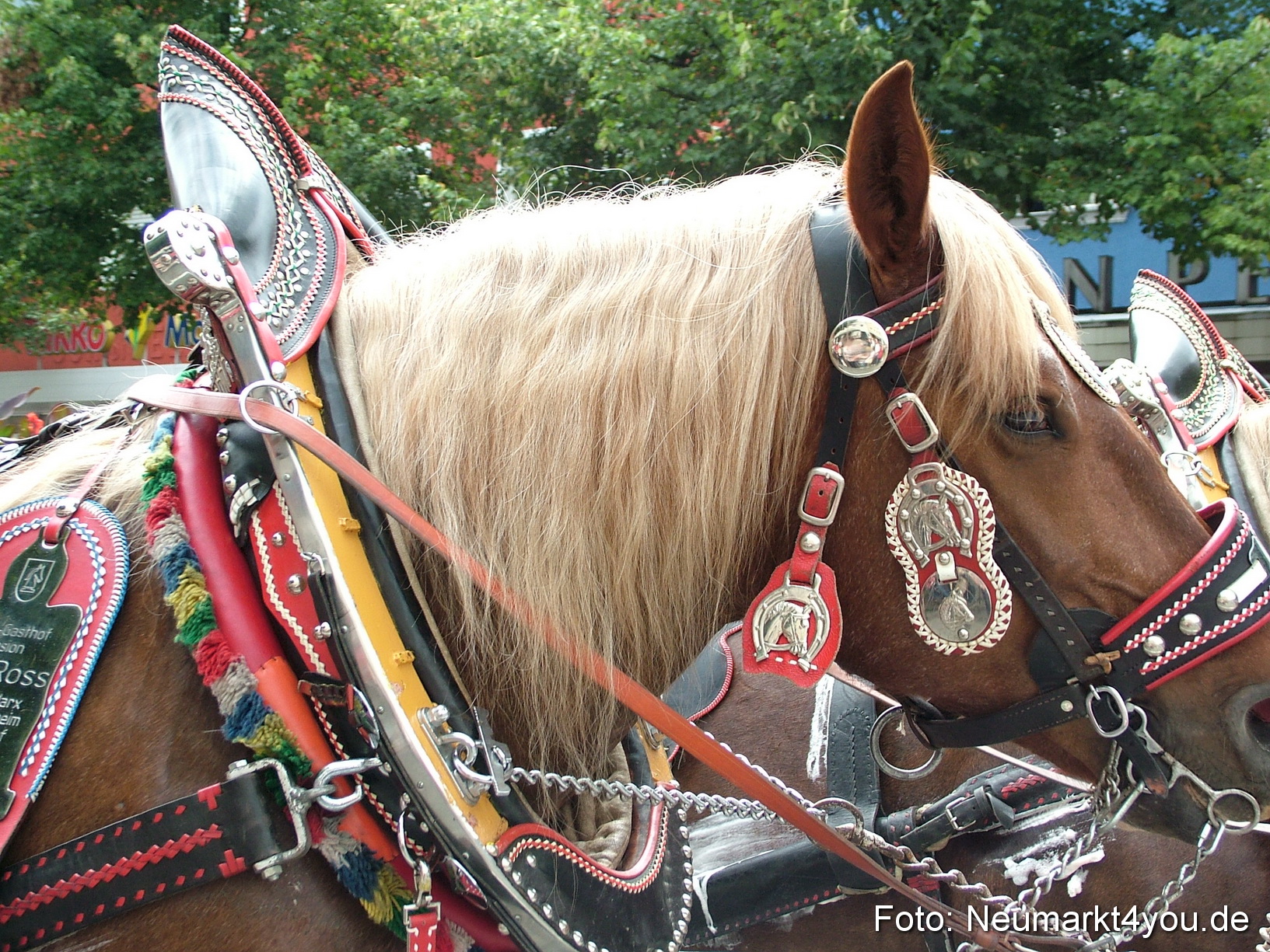 0188 Volksfestzug 120807