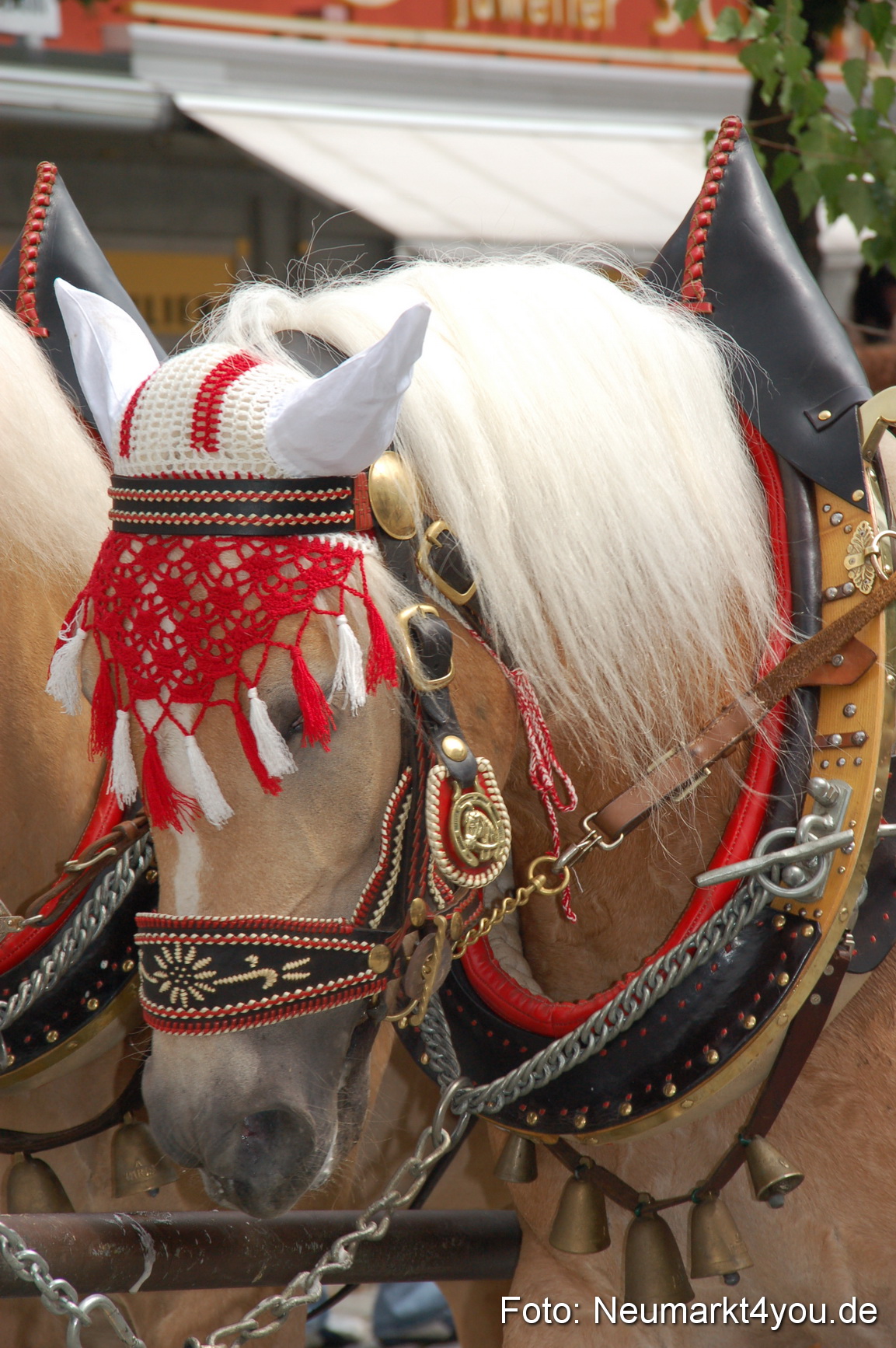 0191 Volksfestzug 120807