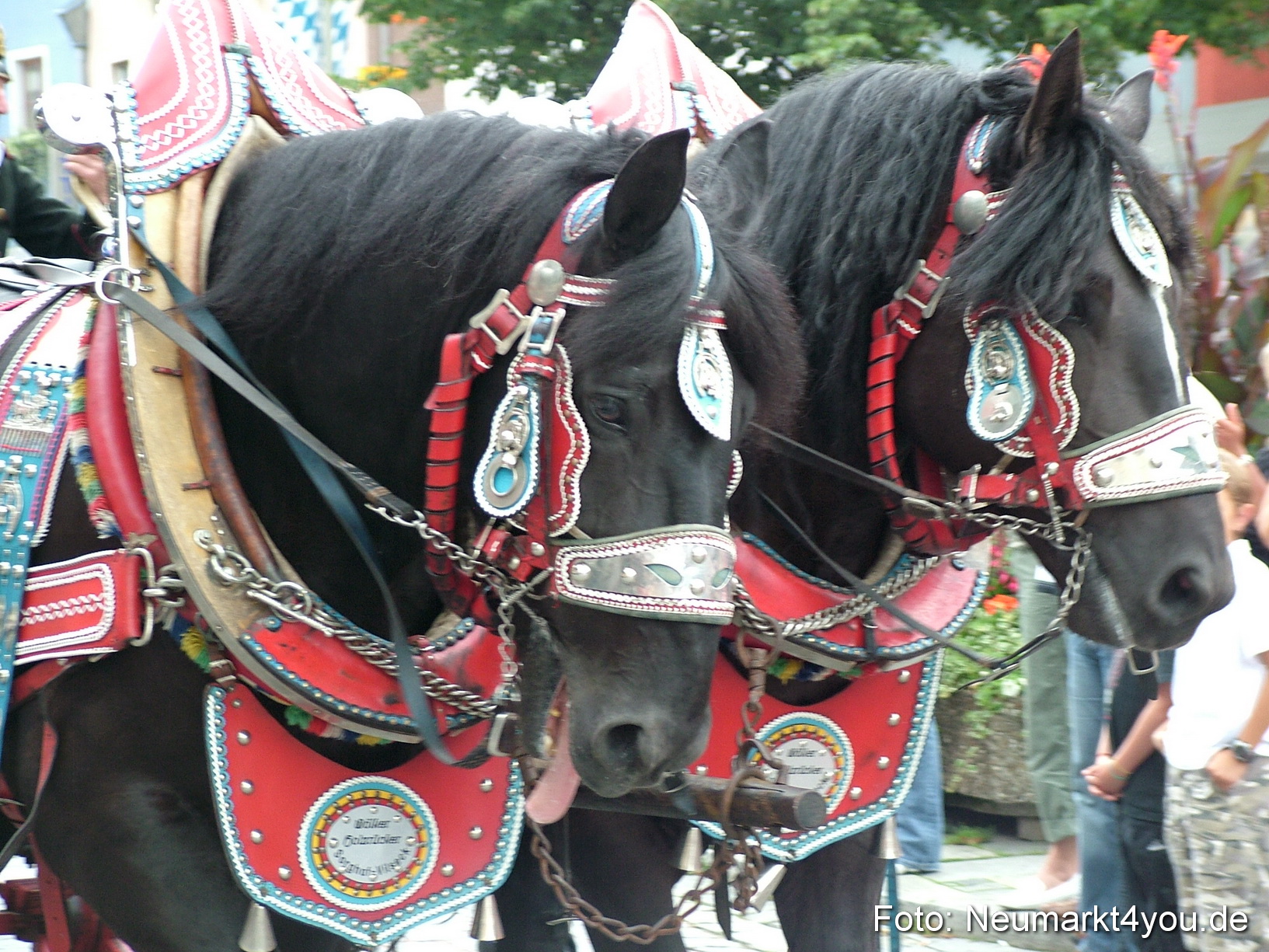 0235 Volksfestzug 120807
