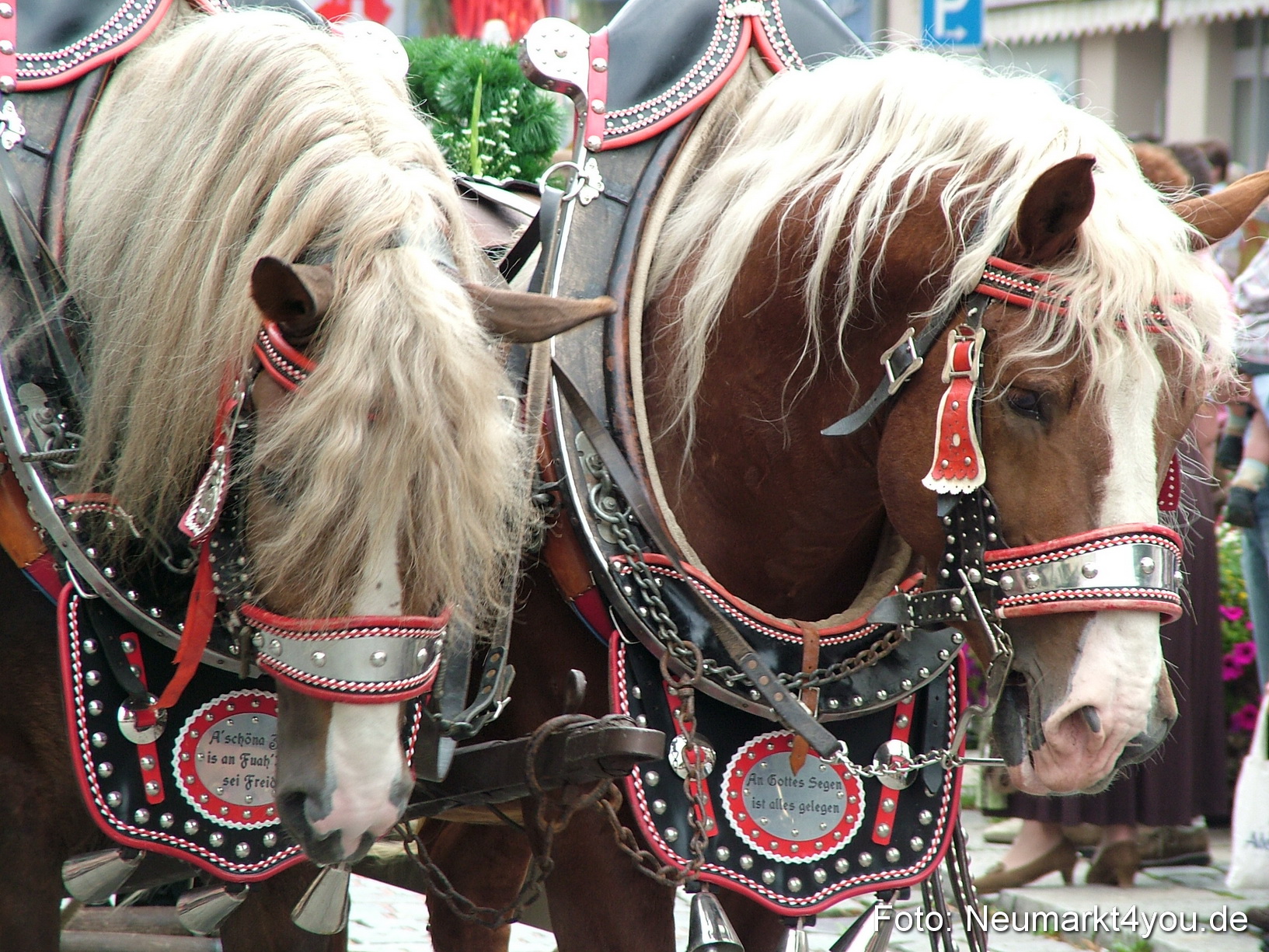 0293 Volksfestzug 120807