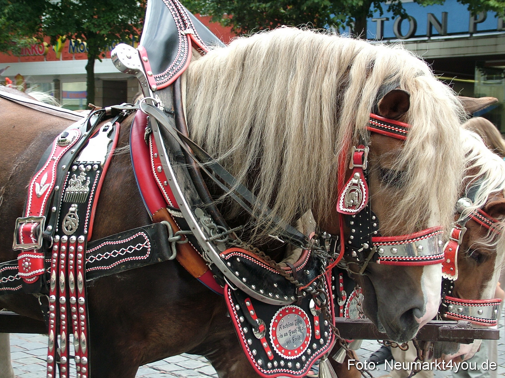 0294 Volksfestzug 120807