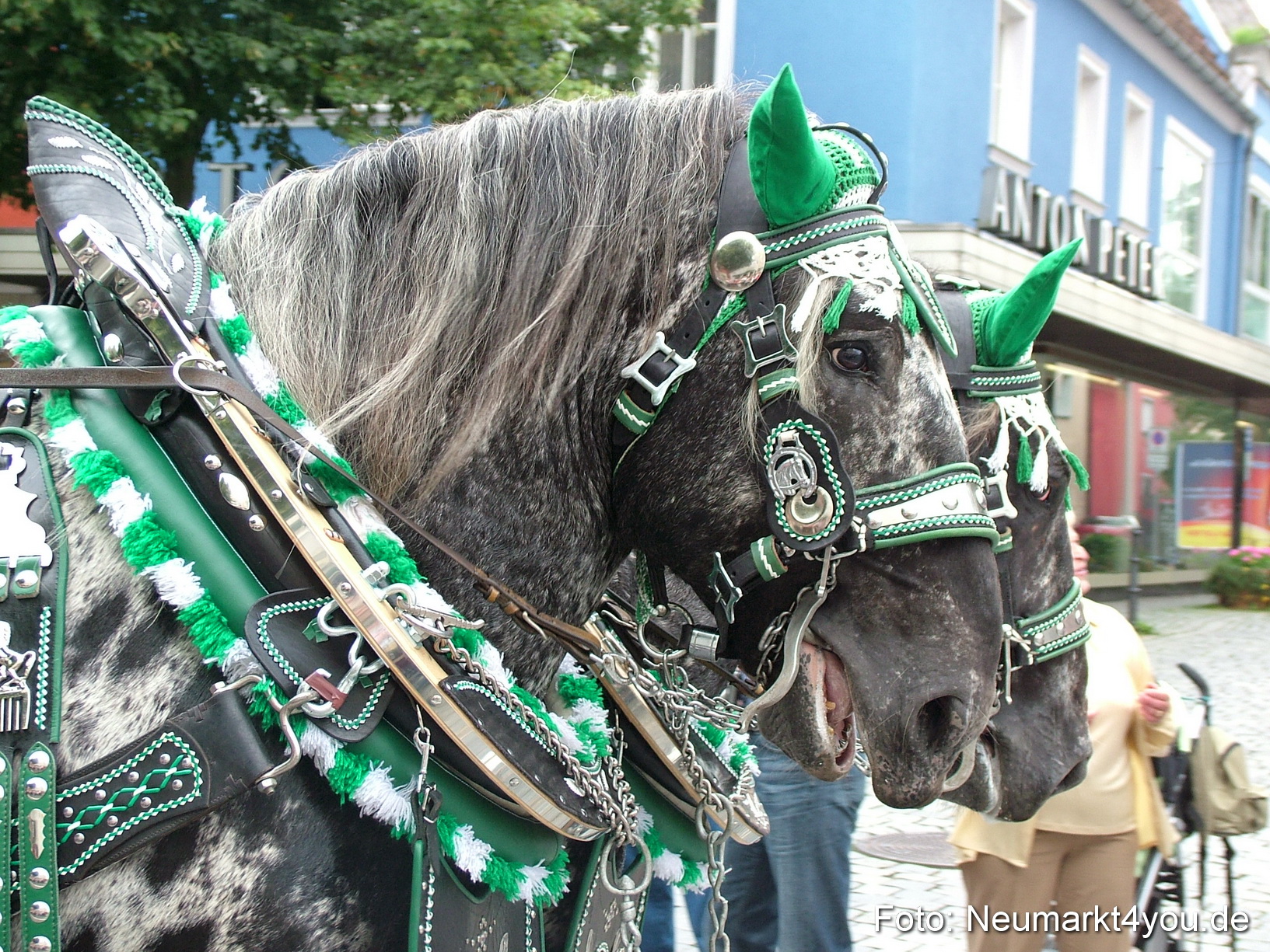 0324 Volksfestzug 120807
