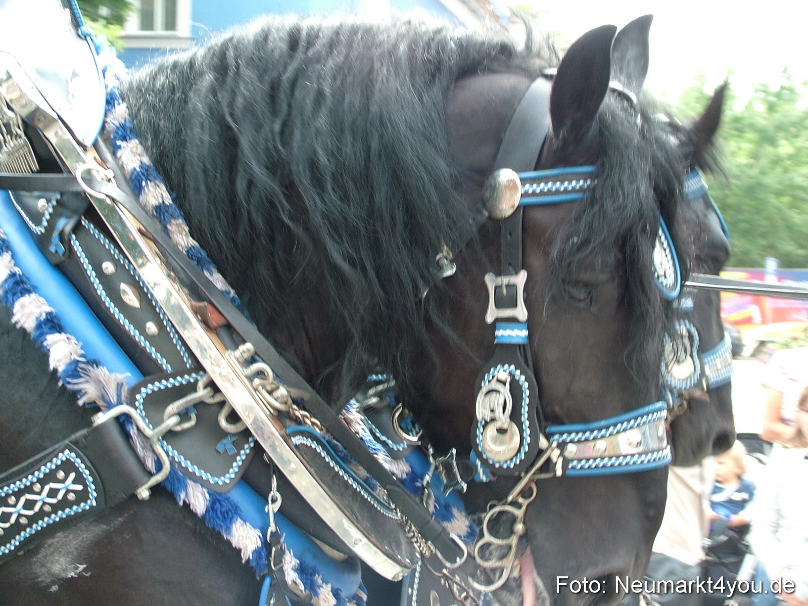 0366 Volksfestzug 120807