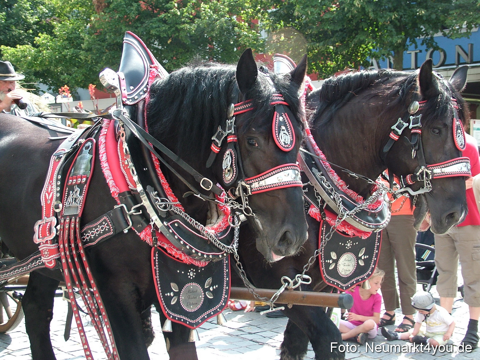 0477 Volksfestzug 120807
