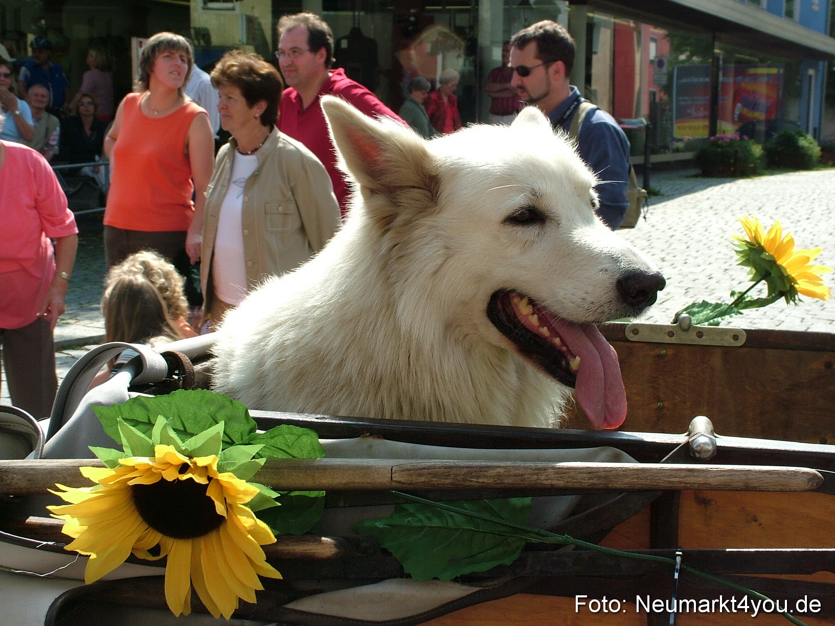 0547 Volksfestzug 120807
