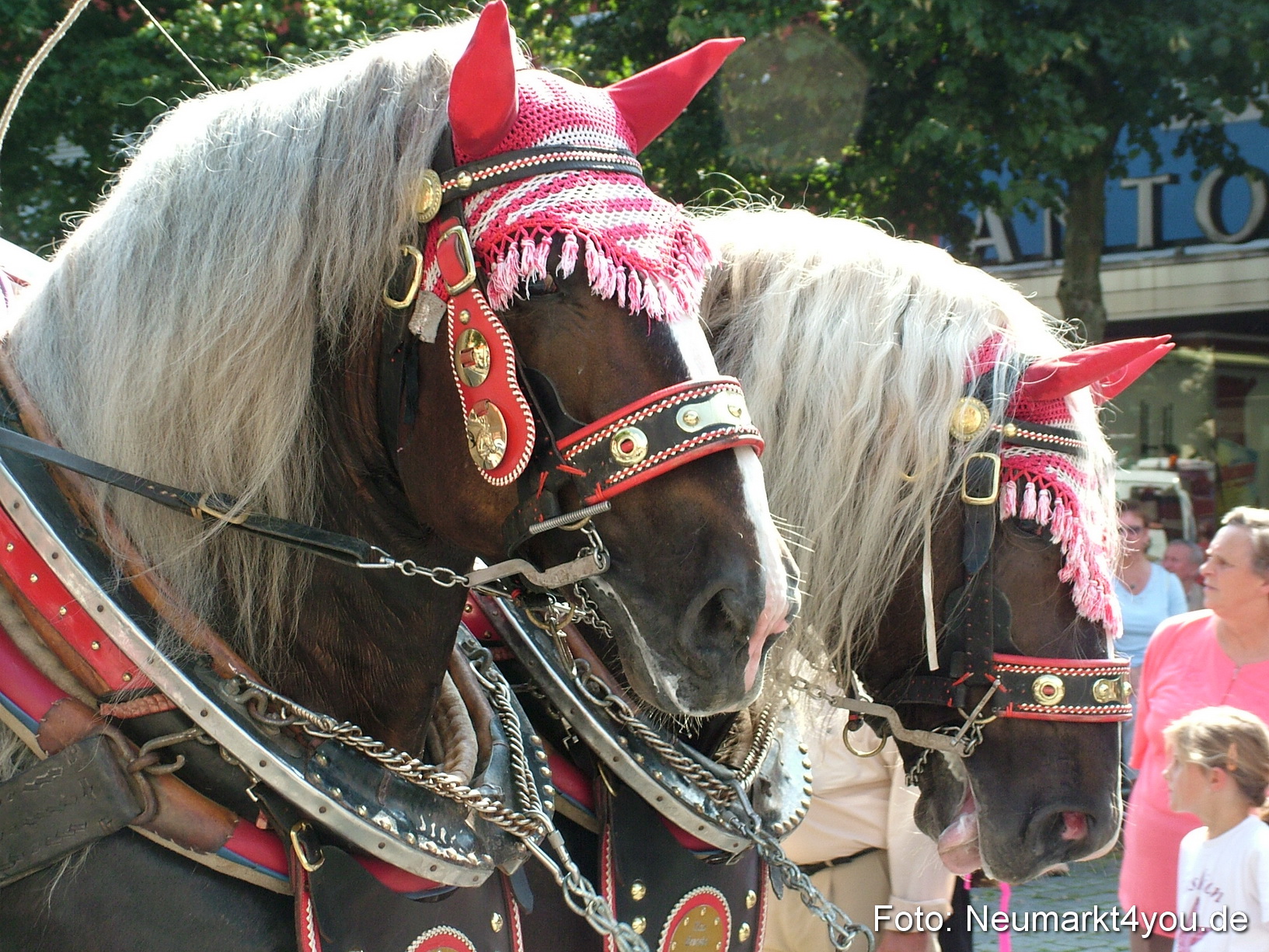 0554 Volksfestzug 120807