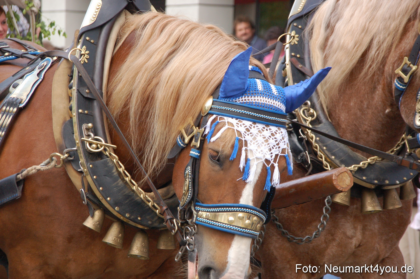 0046 Volksfestzug Beilngries 020907