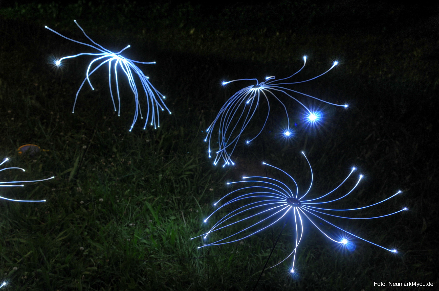 0042 Berchinale 210608