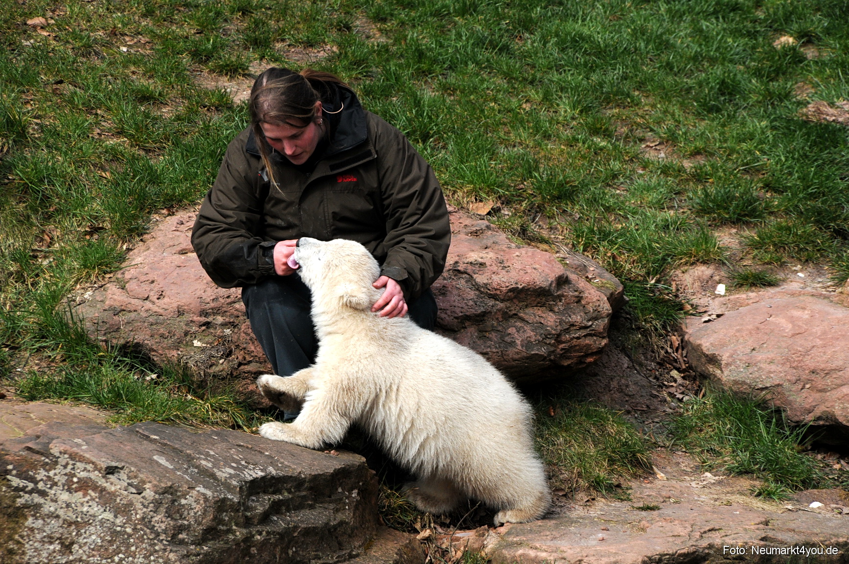 0015 Flocke Nuernberg 080408