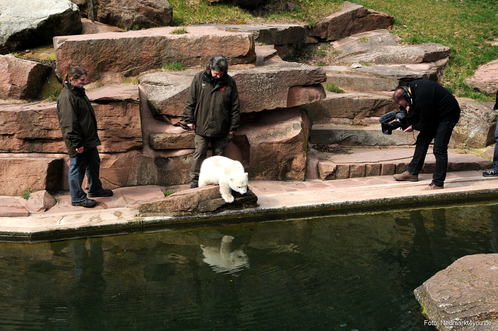 0021 Flocke Nuernberg 080408