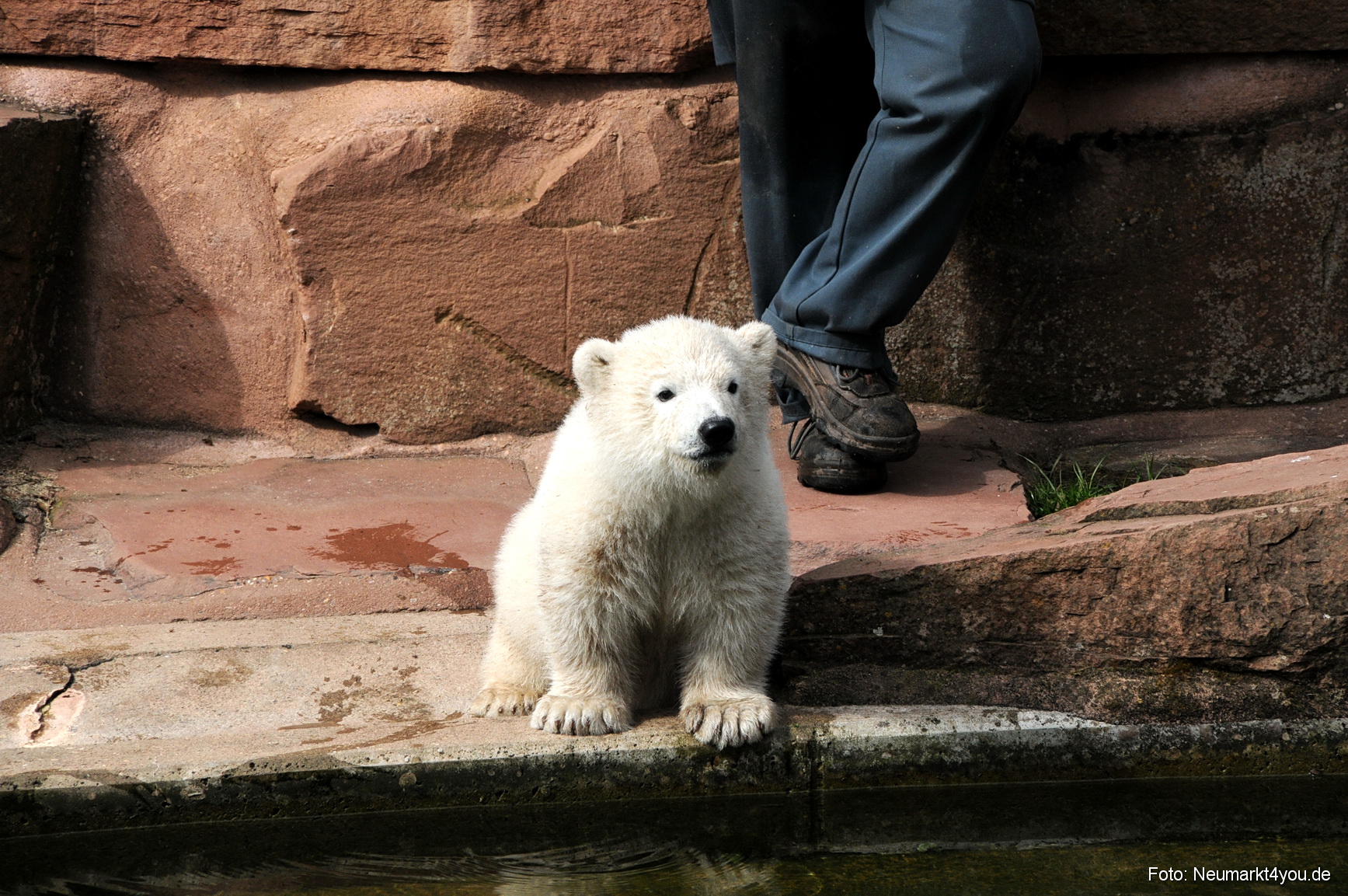 0022 Flocke Nuernberg 080408