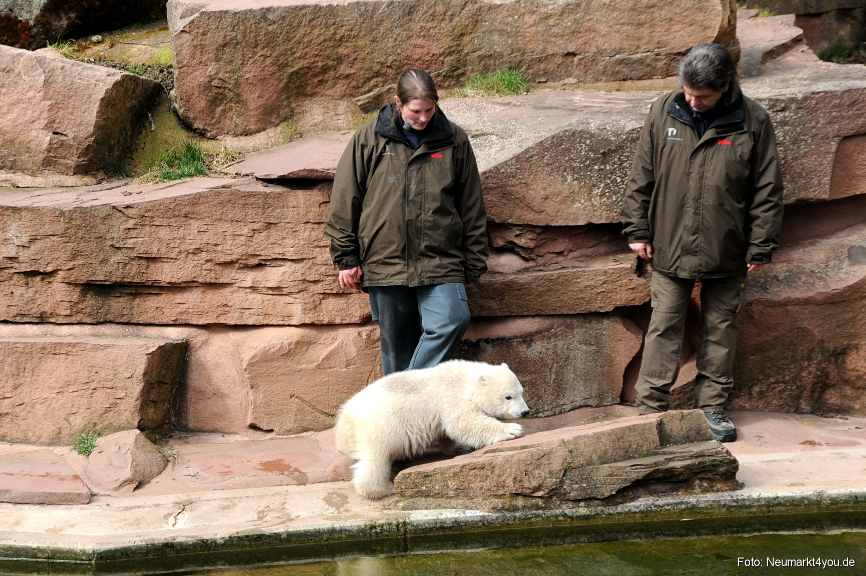 0023 Flocke Nuernberg 080408