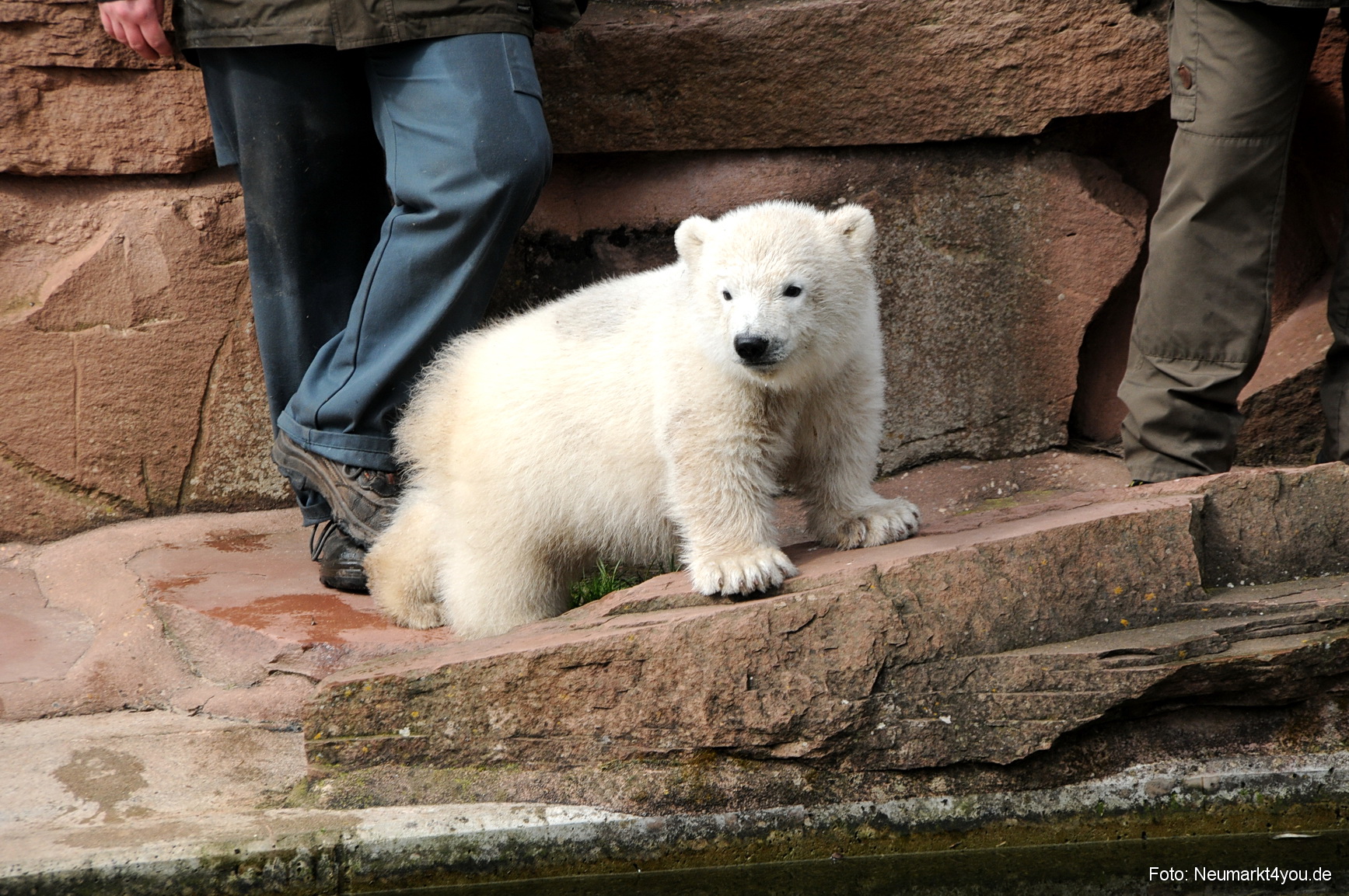 0024 Flocke Nuernberg 080408