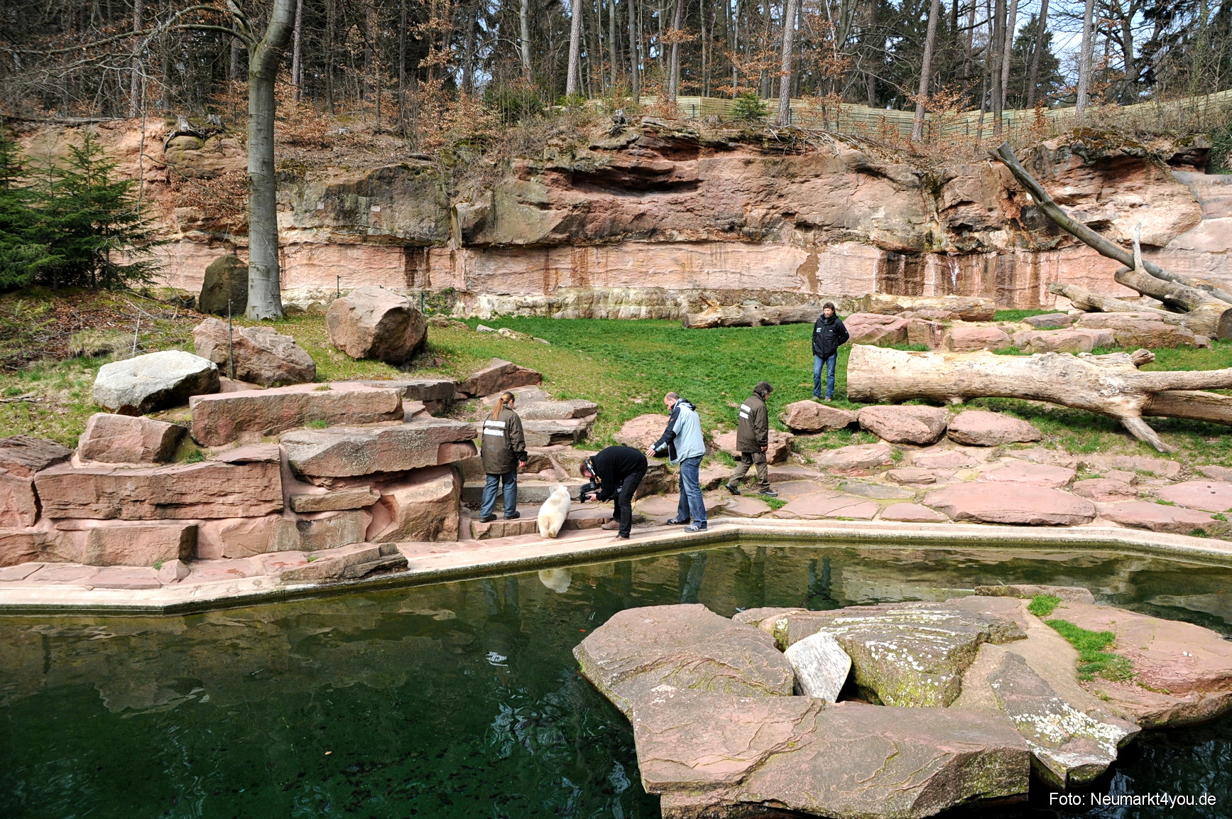 0025 Flocke Nuernberg 080408