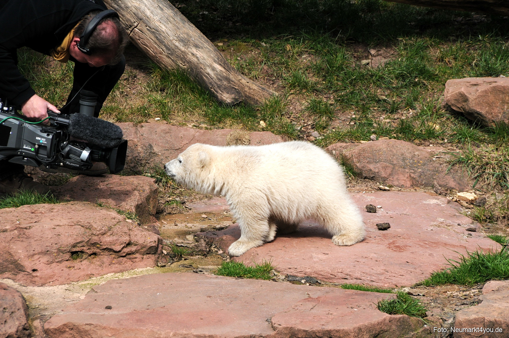 0026 Flocke Nuernberg 080408