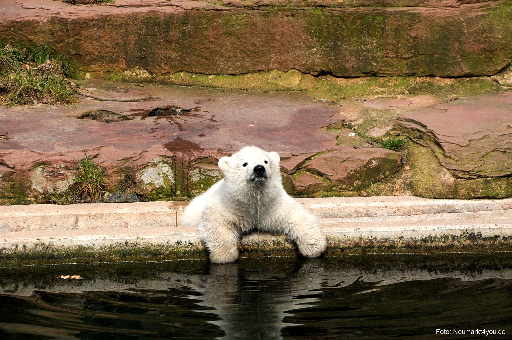 0029 Flocke Nuernberg 080408