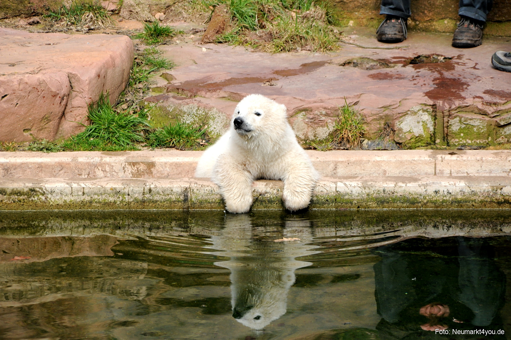 0034 Flocke Nuernberg 080408