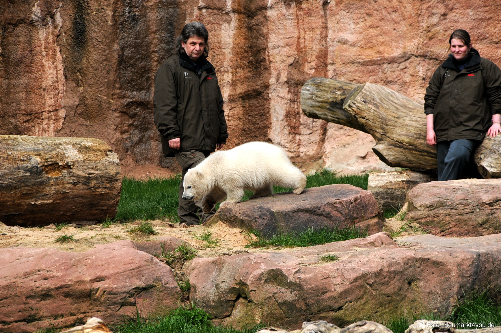 0036 Flocke Nuernberg 080408