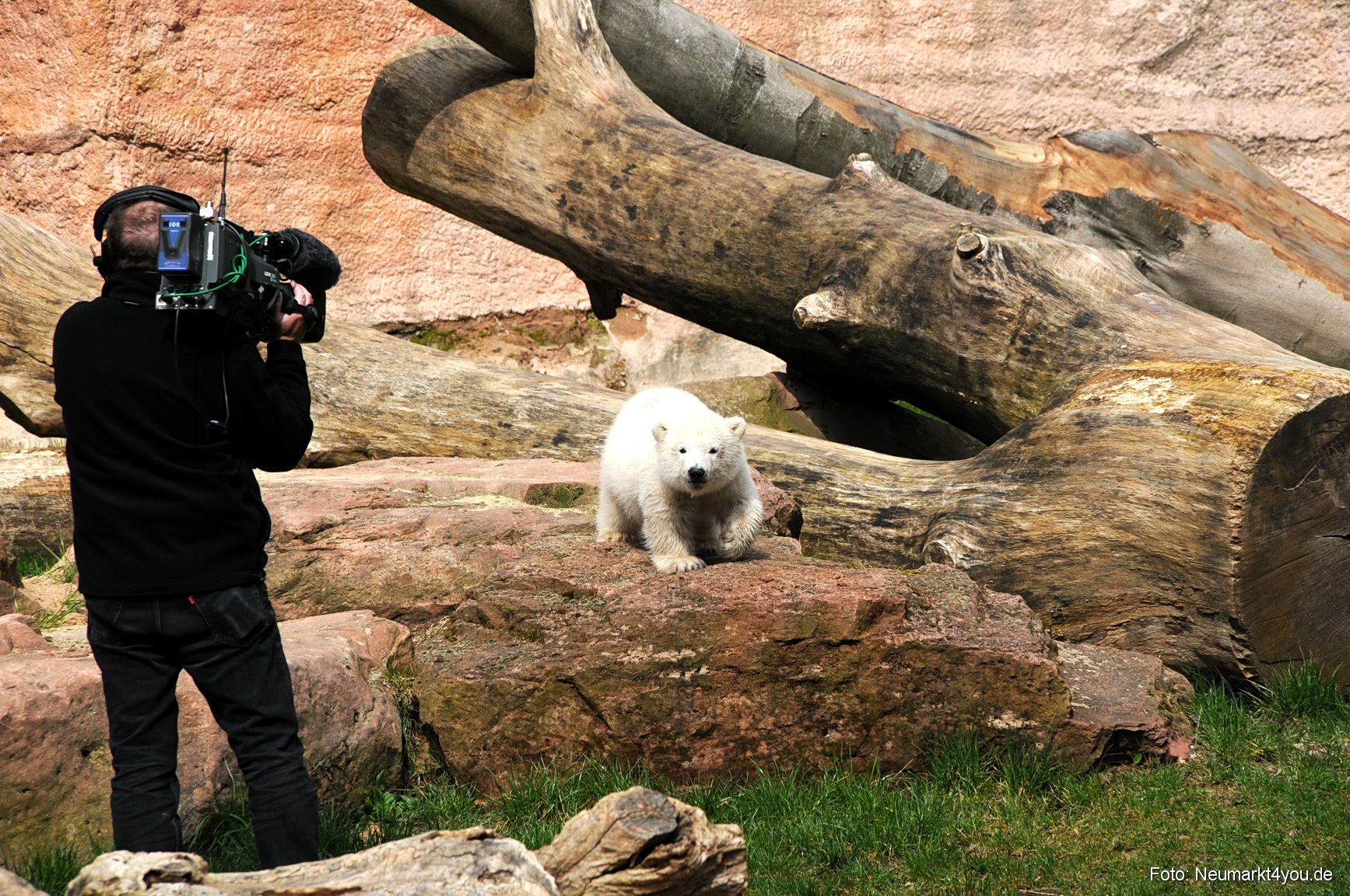 0038 Flocke Nuernberg 080408