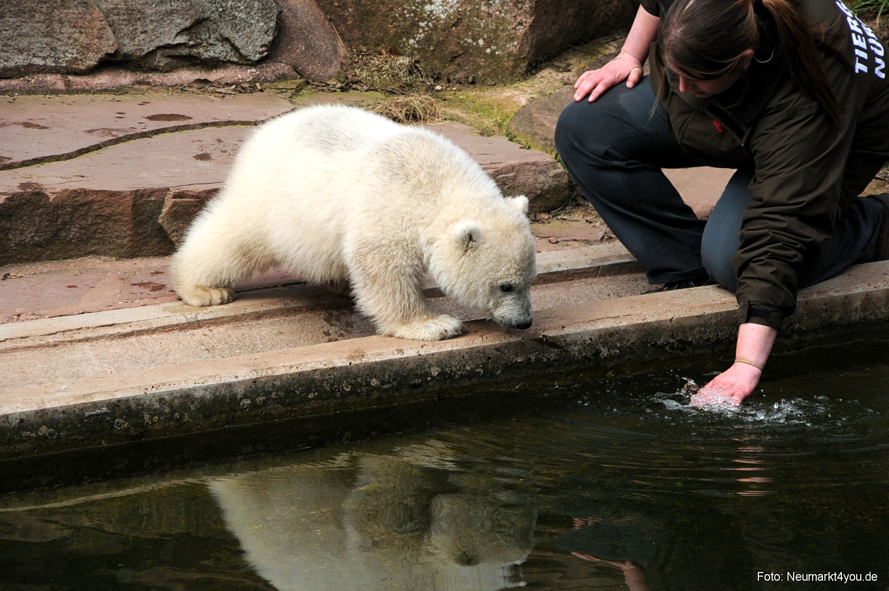 0042 Flocke Nuernberg 080408