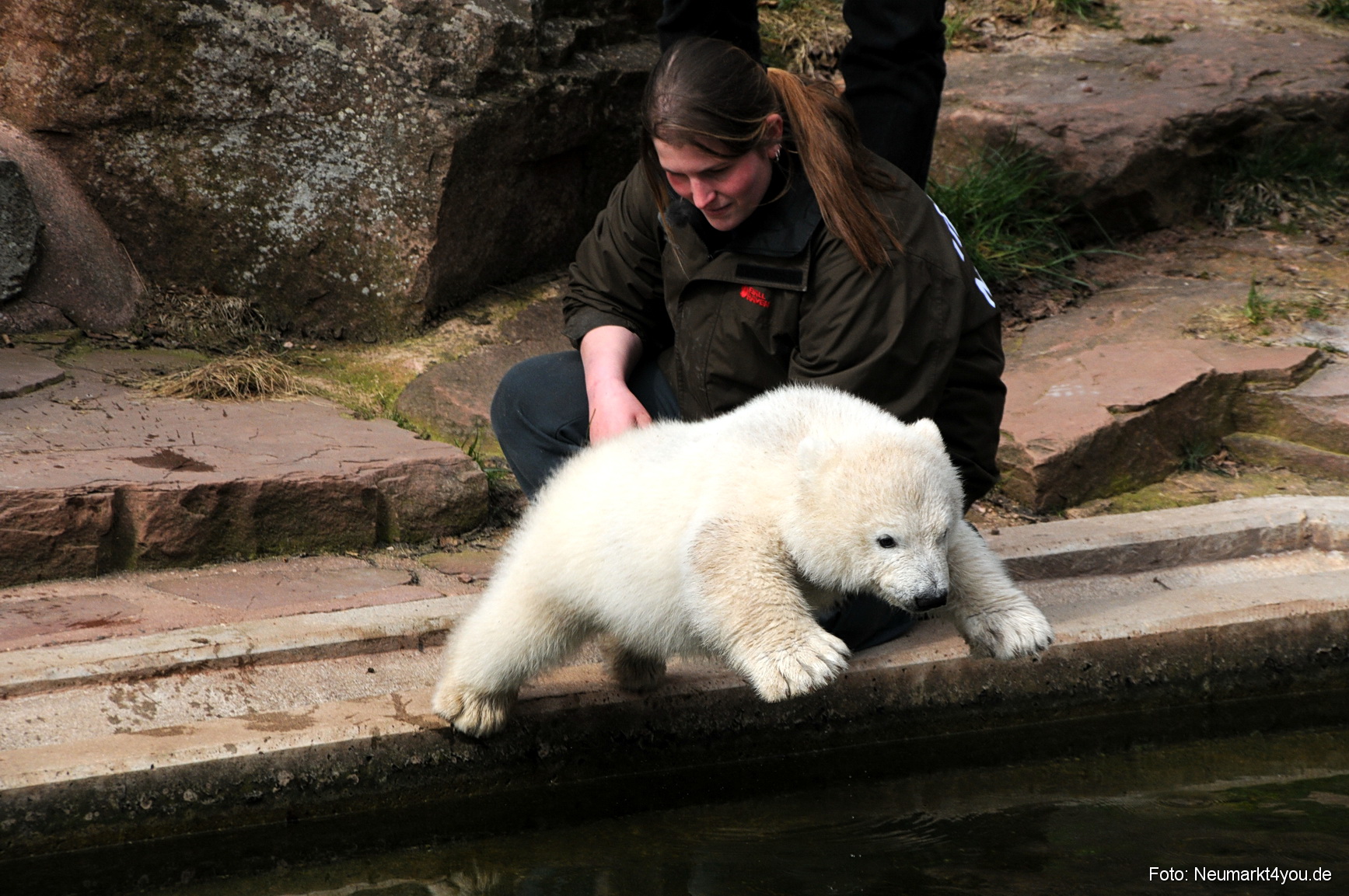 0044 Flocke Nuernberg 080408