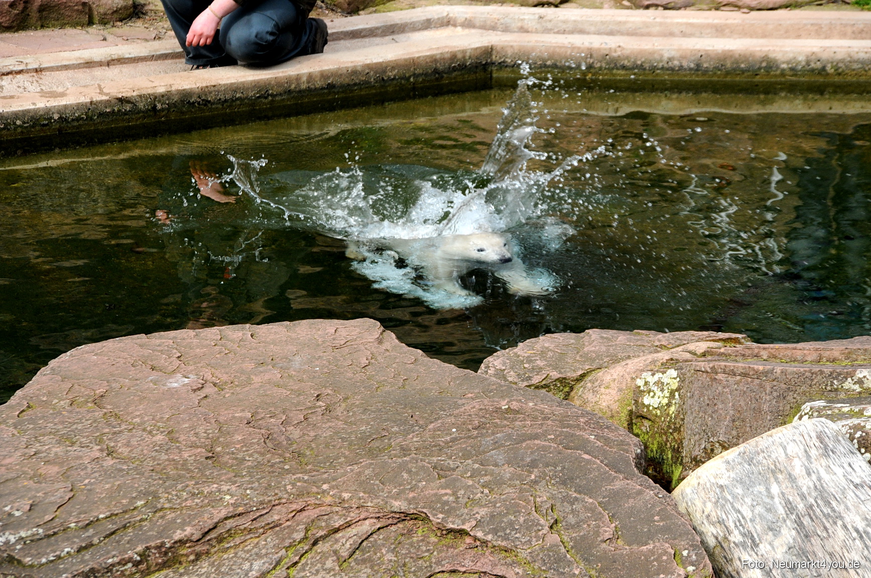 0045 Flocke Nuernberg 080408